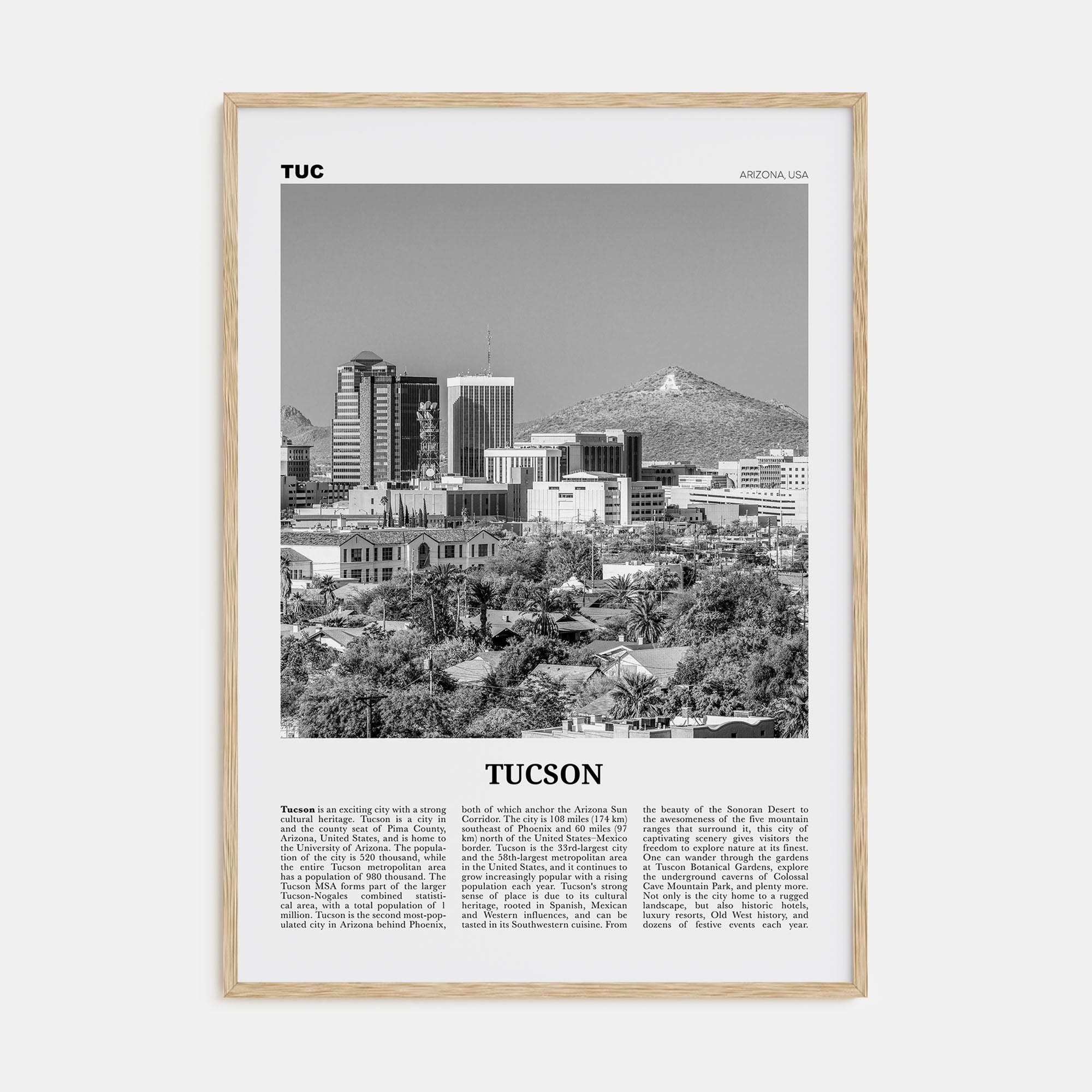 Tucson Travel B&W No 1 Poster