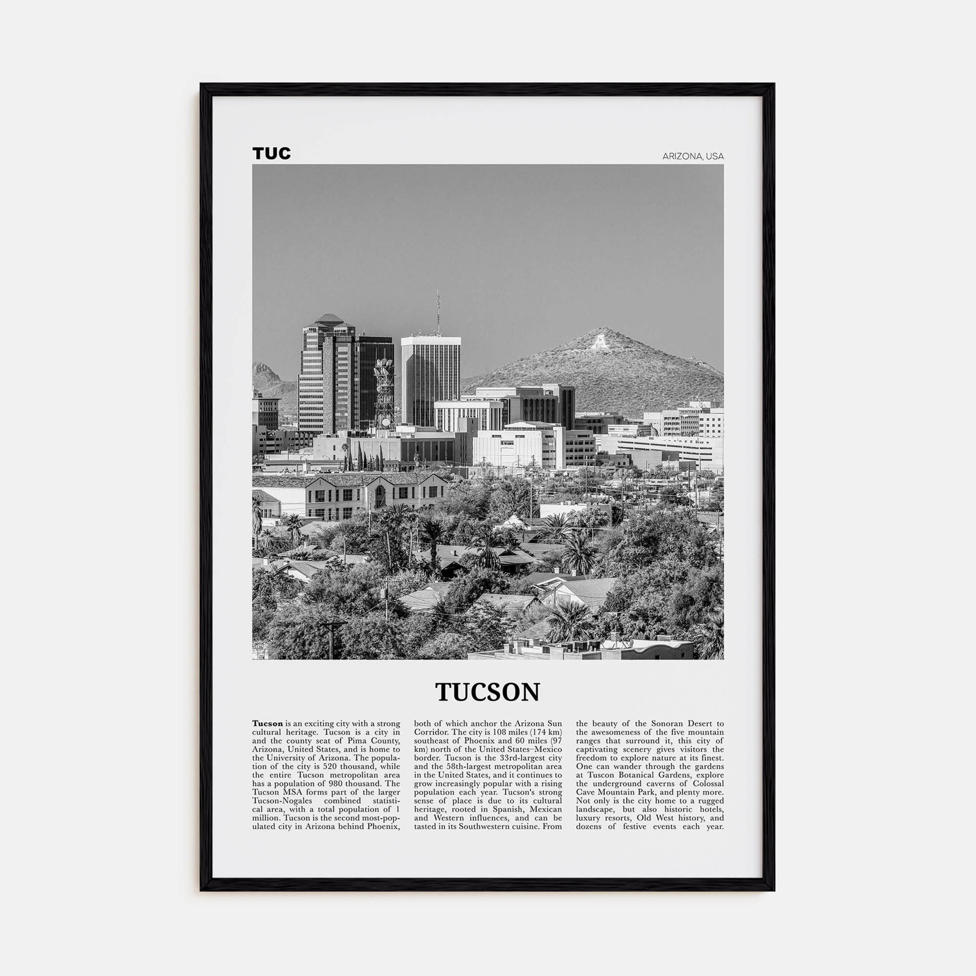 Tucson Travel B&W No 1 Poster