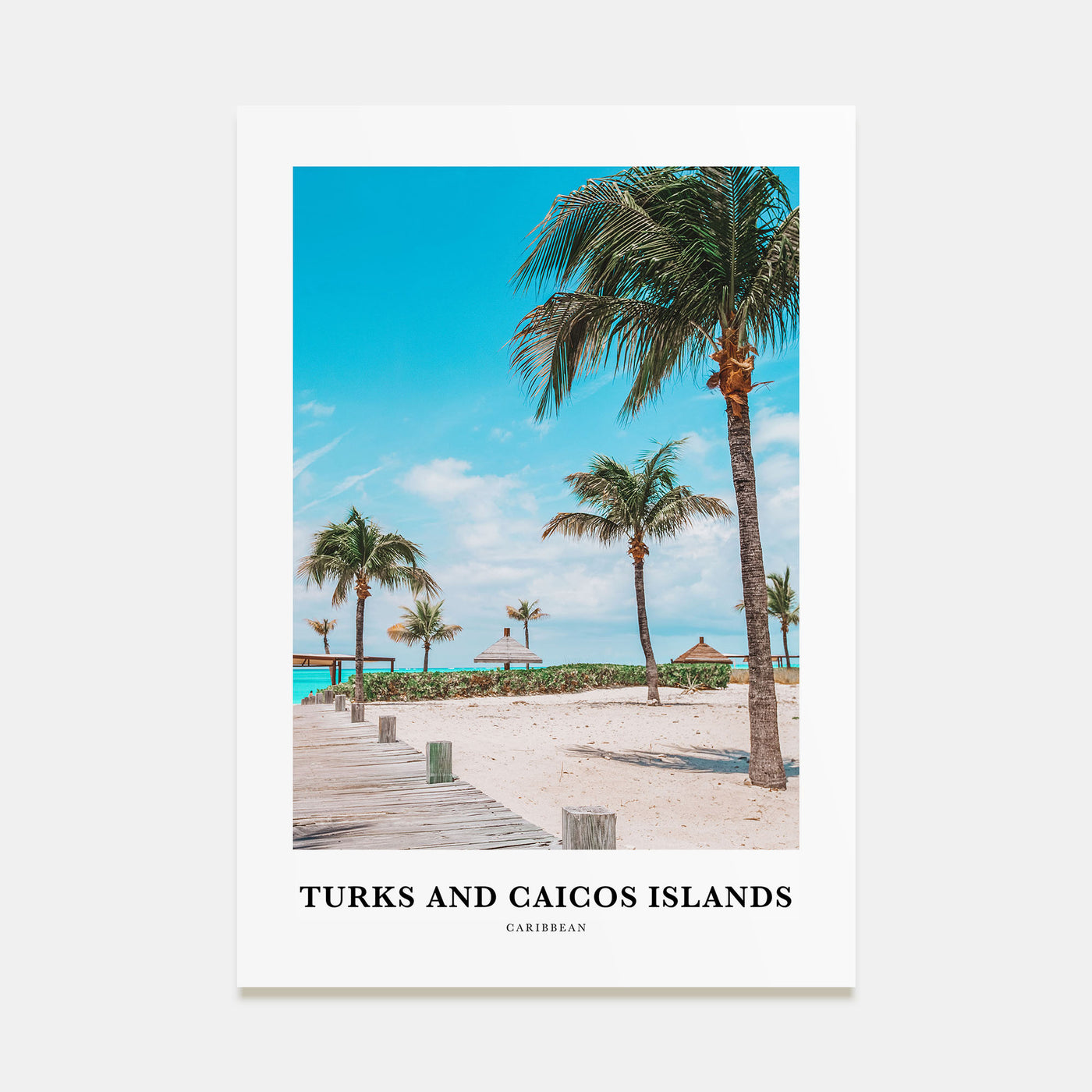 Turks and Caicos Islands Portrait Color Poster