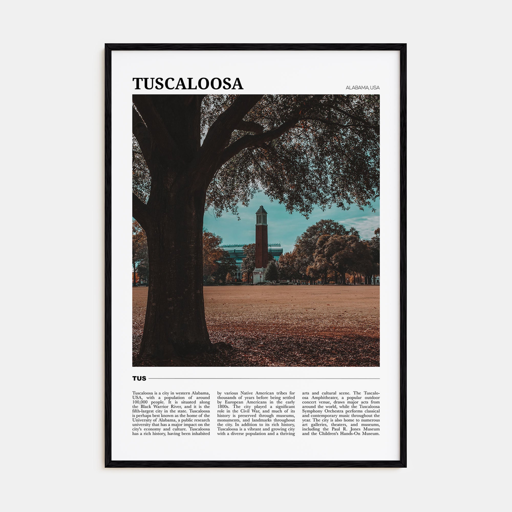 Tuscaloosa Travel Color Poster