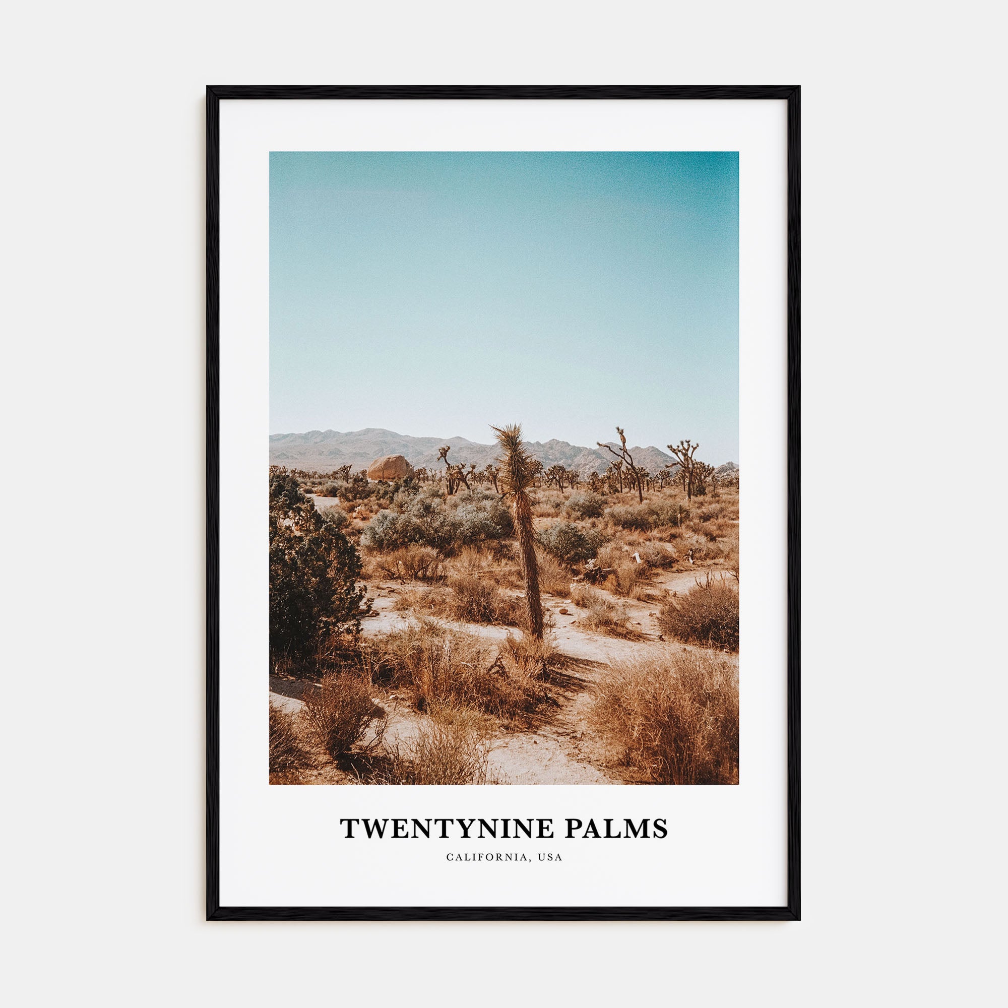 Twentynine Palms Portrait Color Poster