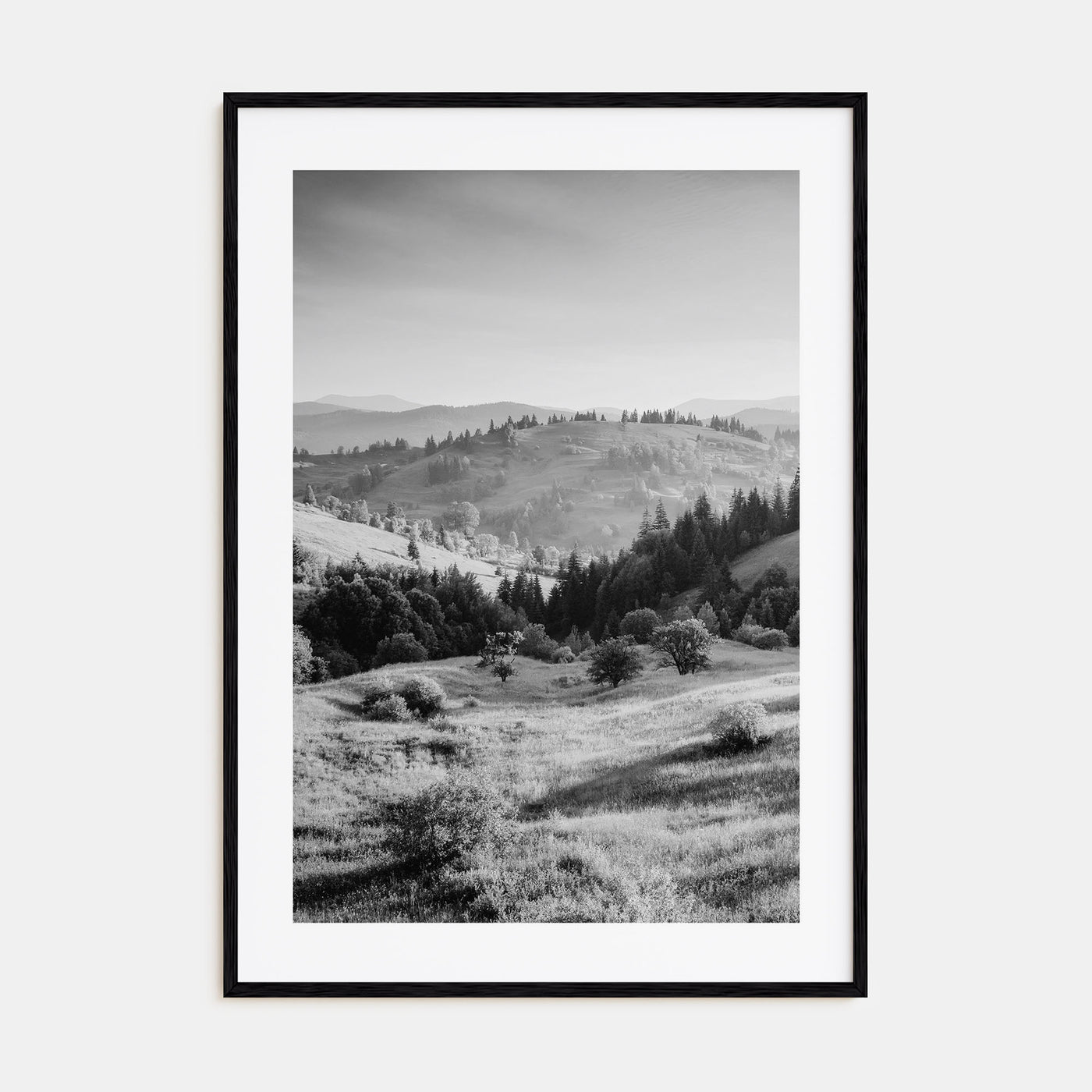 Ukraine Photo B&W Poster