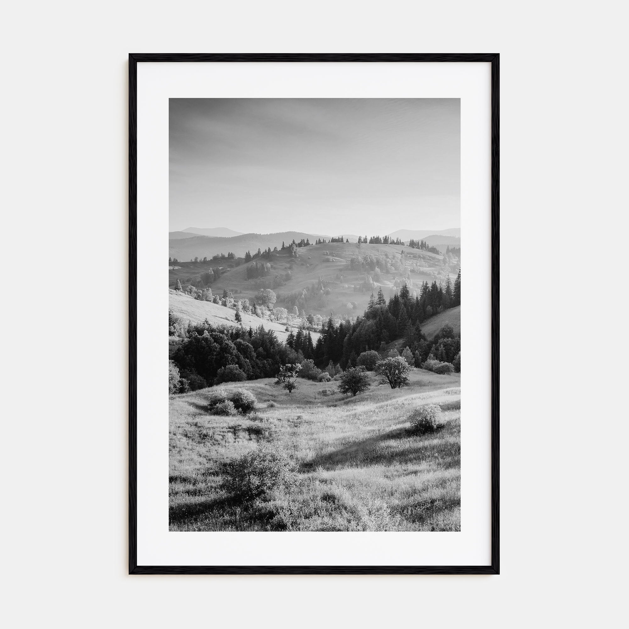 Ukraine Photo B&W Poster