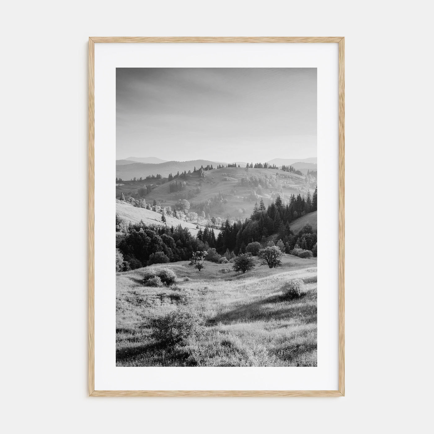 Ukraine Photo B&W Poster