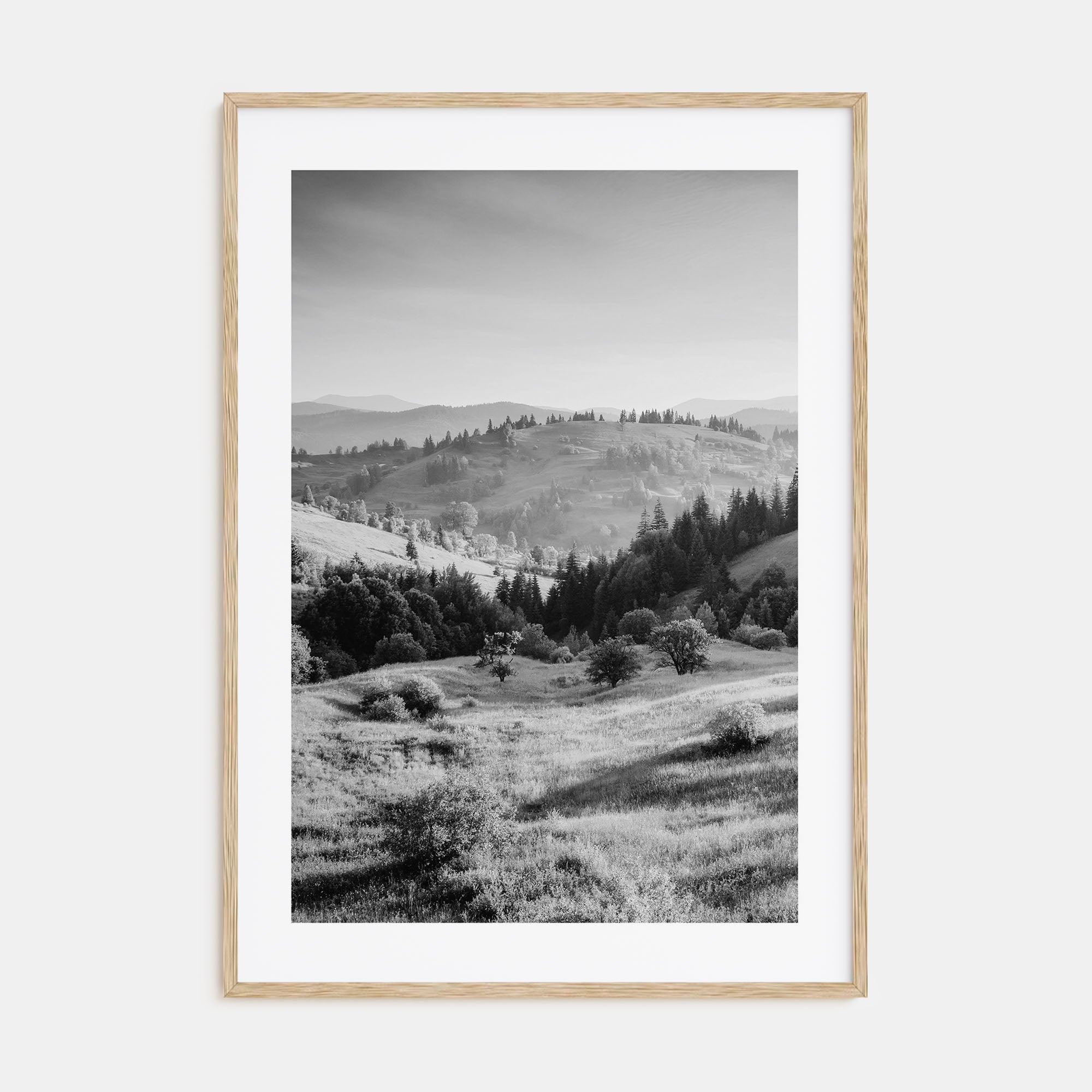 Ukraine Photo B&W Poster