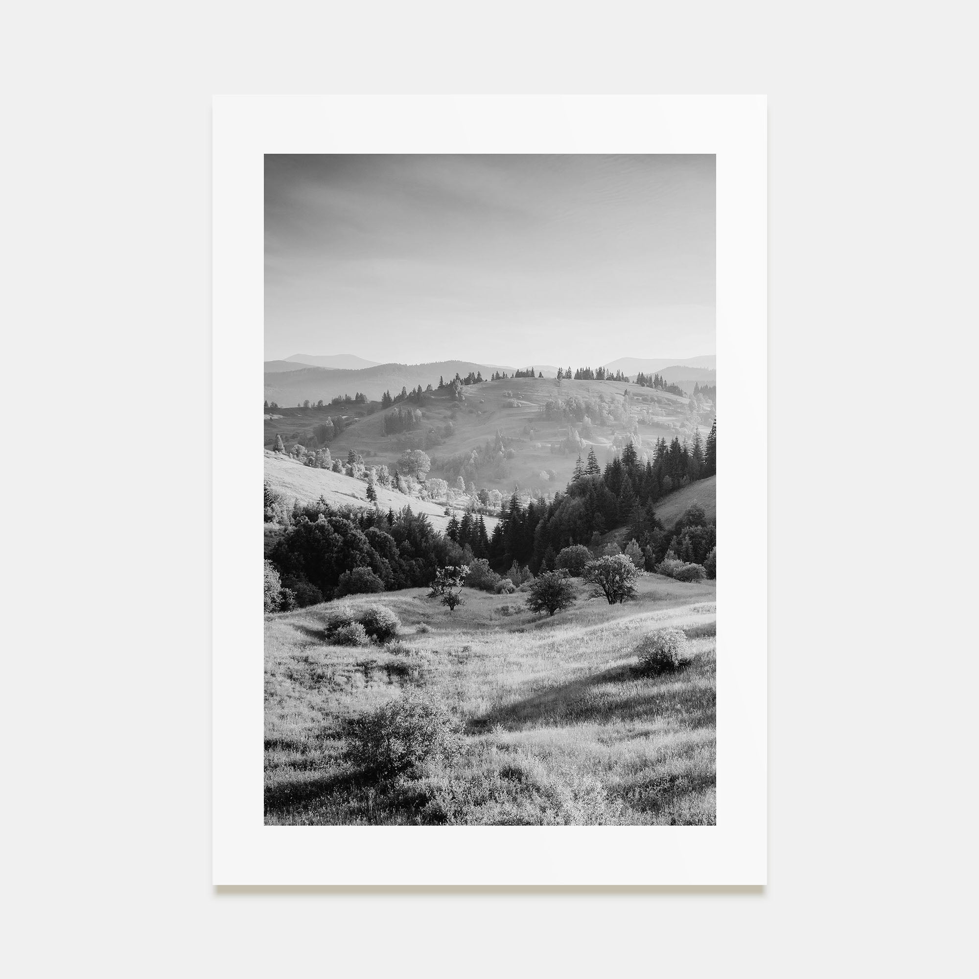 Ukraine Photo B&W Poster
