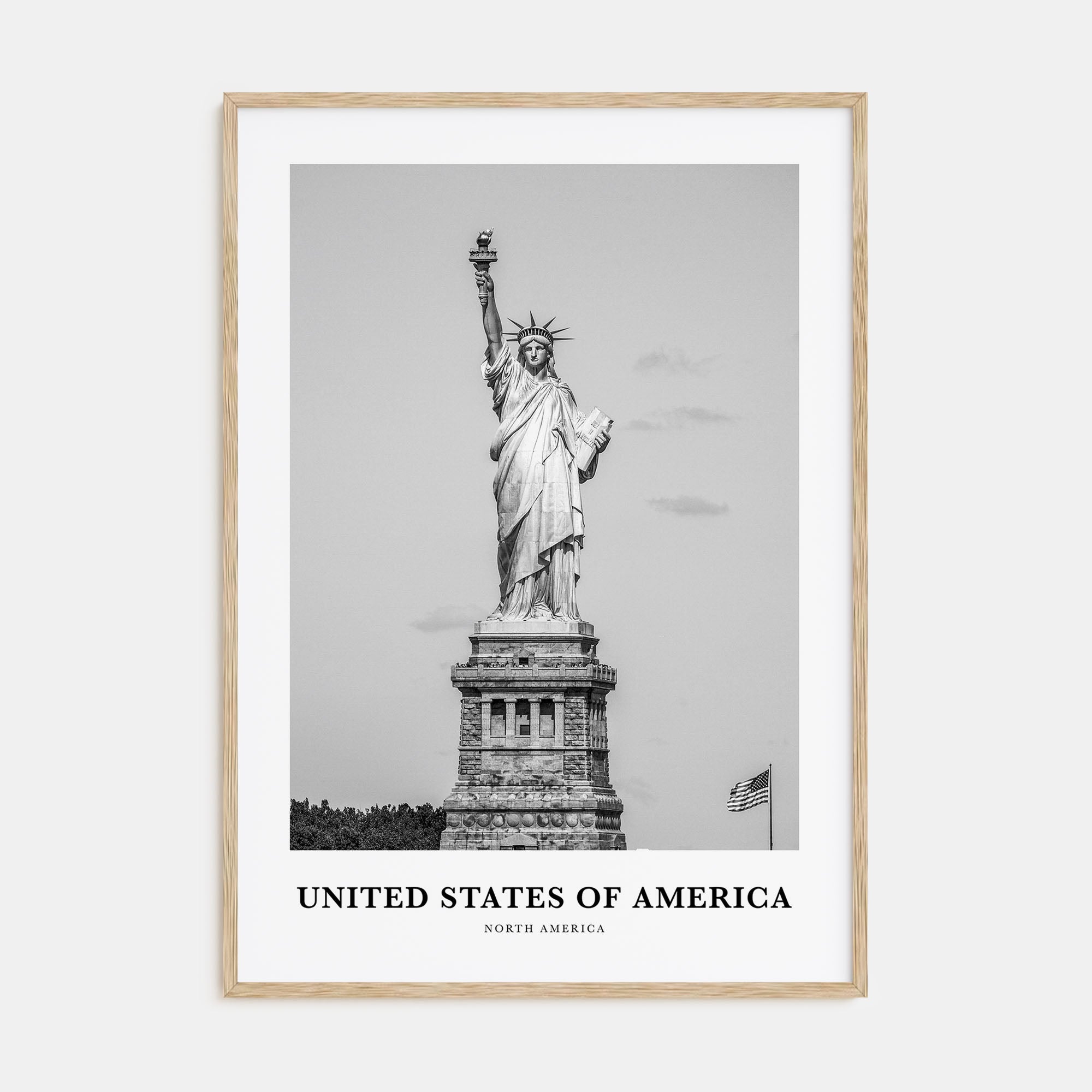 United States of America Portrait B&W No 1 Poster