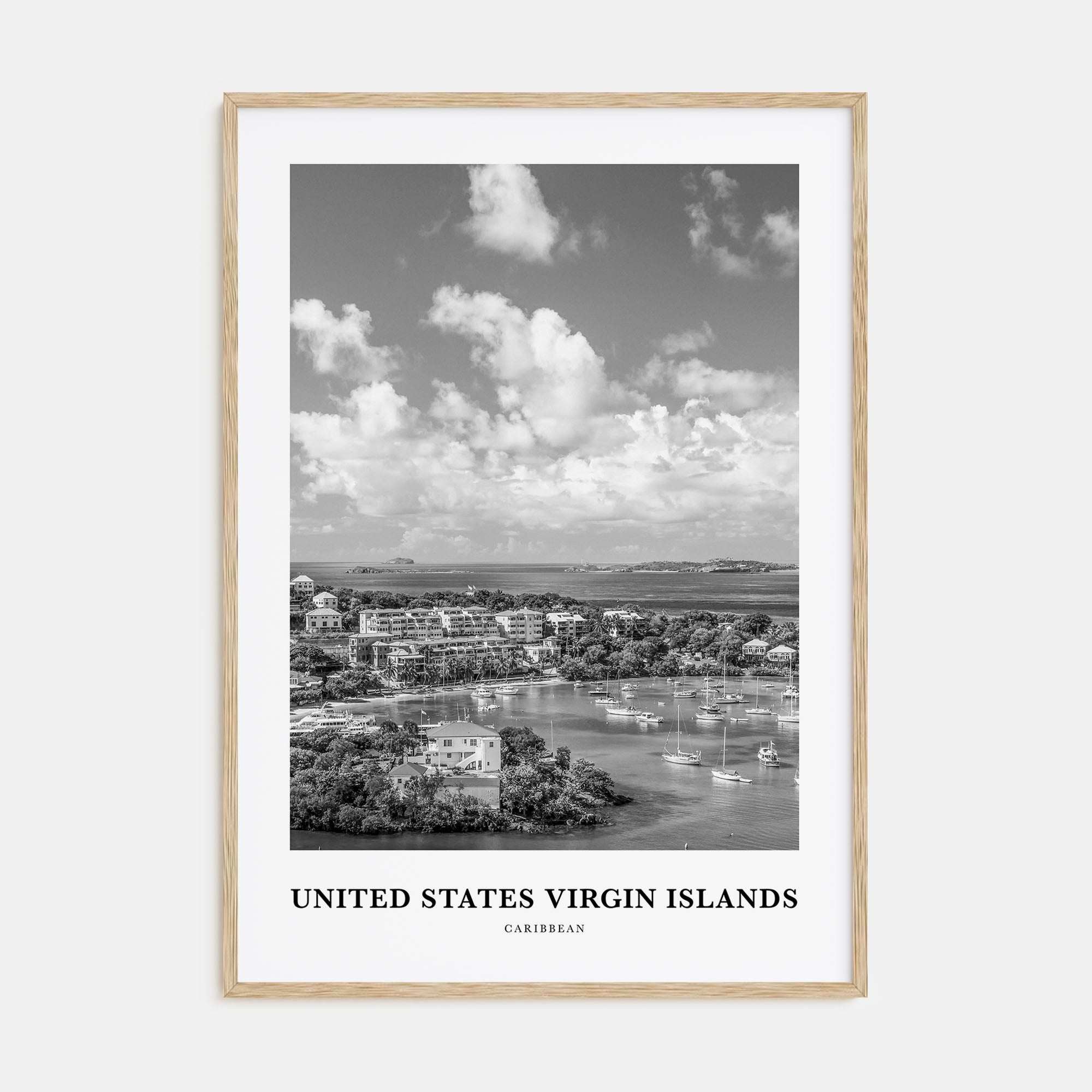 United States Virgin Islands Portrait B&W Poster