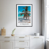 United States Virgin Islands Portrait Color Poster