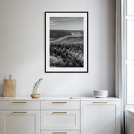 Upstate New York Photo B&W Poster