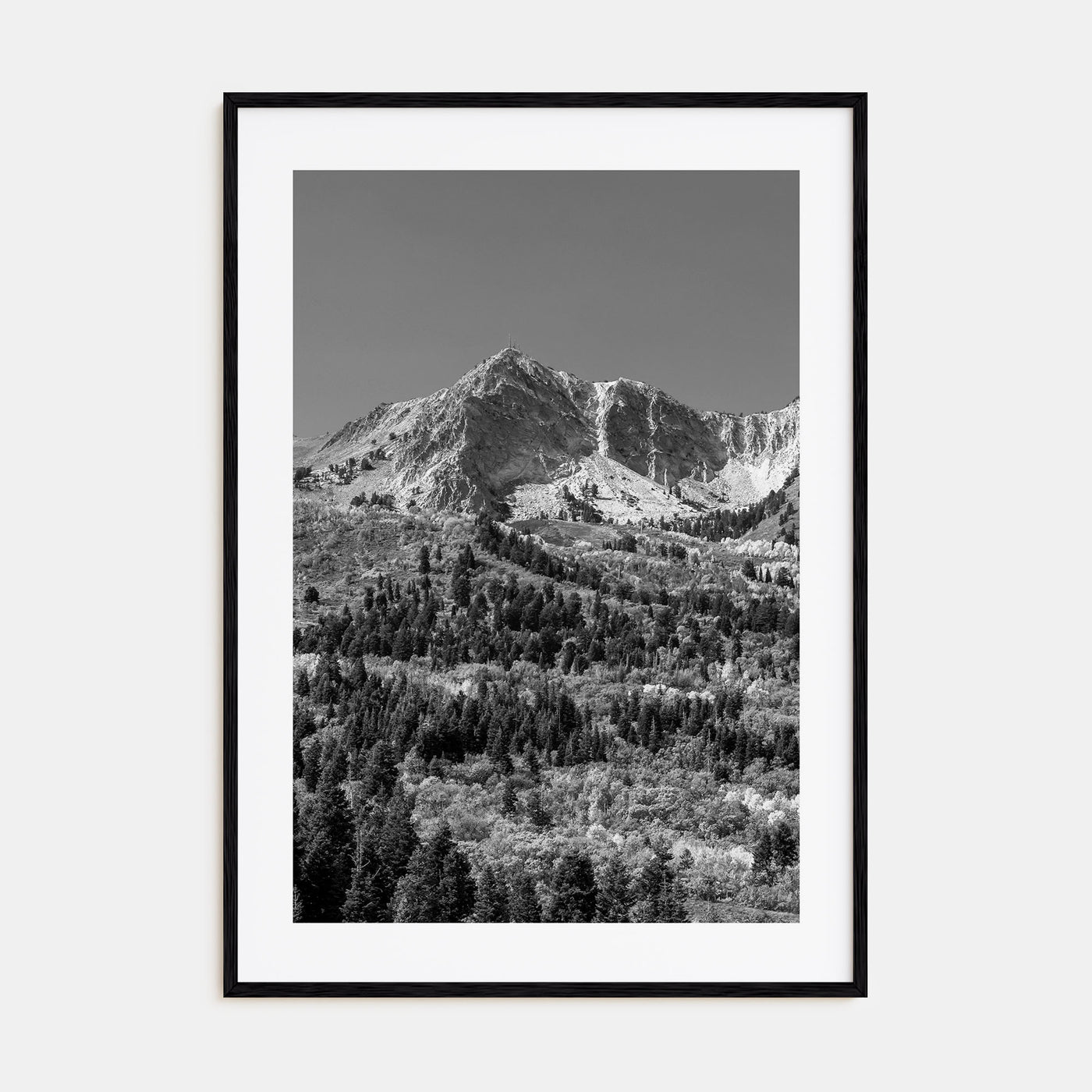 Utah Photo B&W No 1 Poster