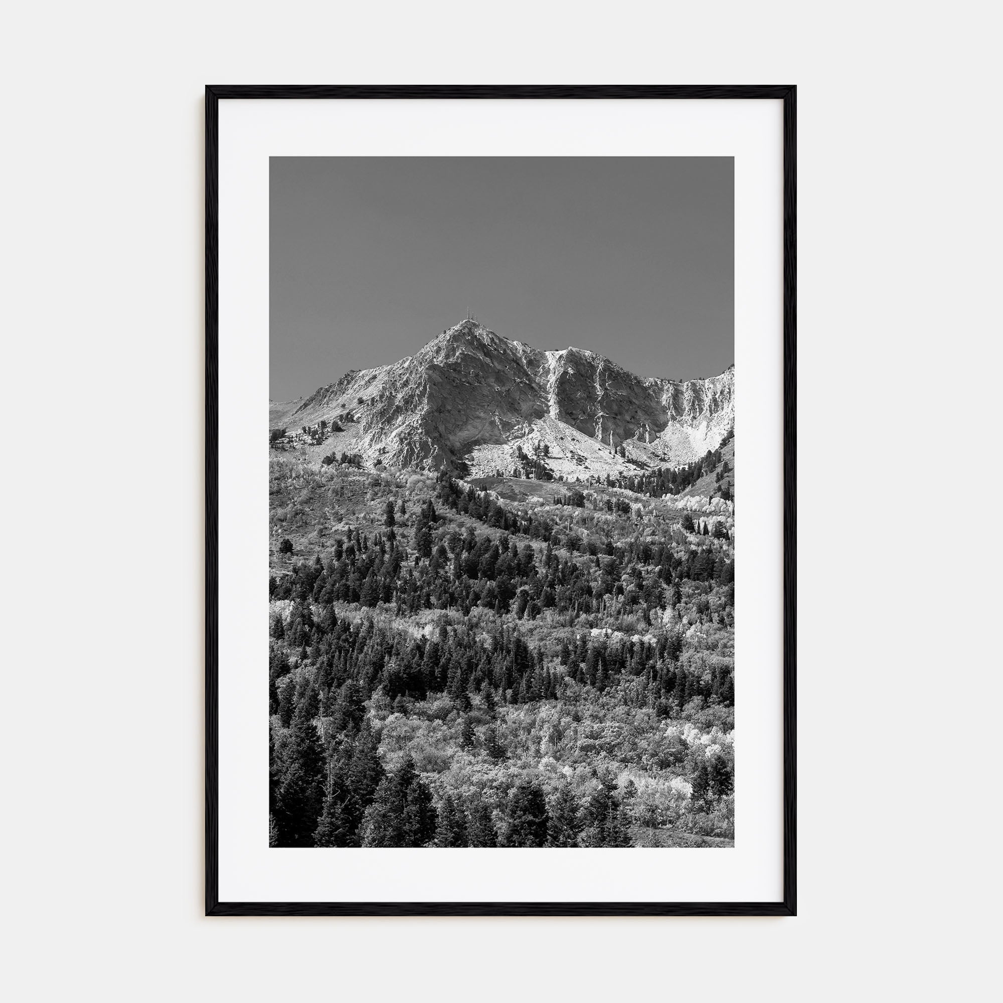 Utah Photo B&W No 1 Poster