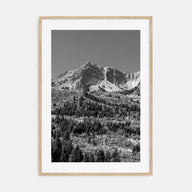 Utah Photo B&W No 1 Poster