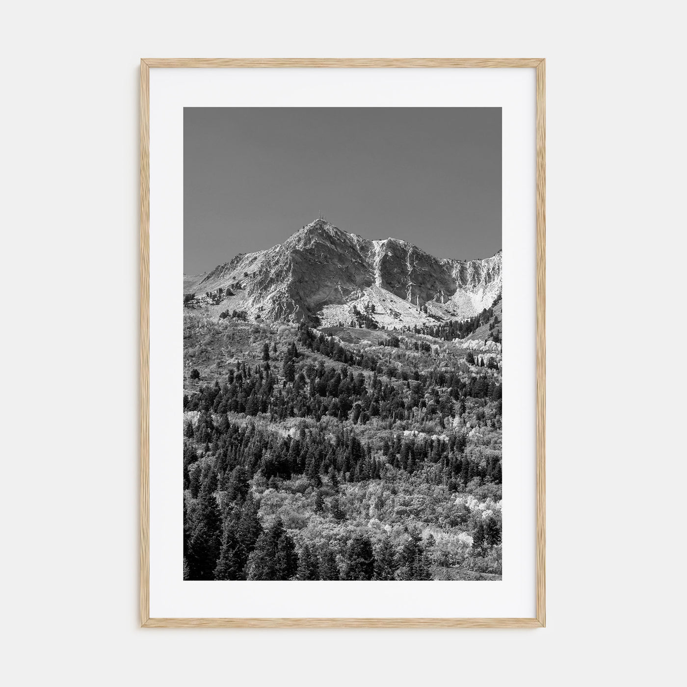 Utah Photo B&W No 1 Poster