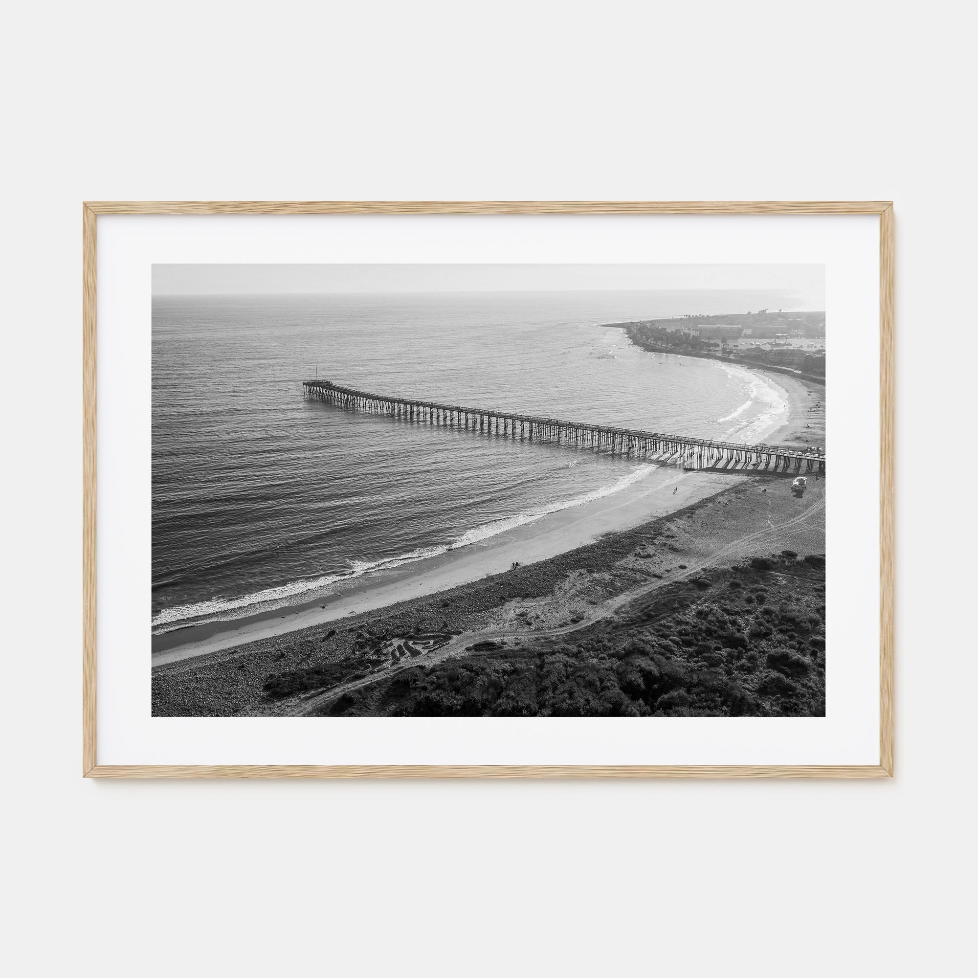 Ventura Landscape B&W No 1 Poster