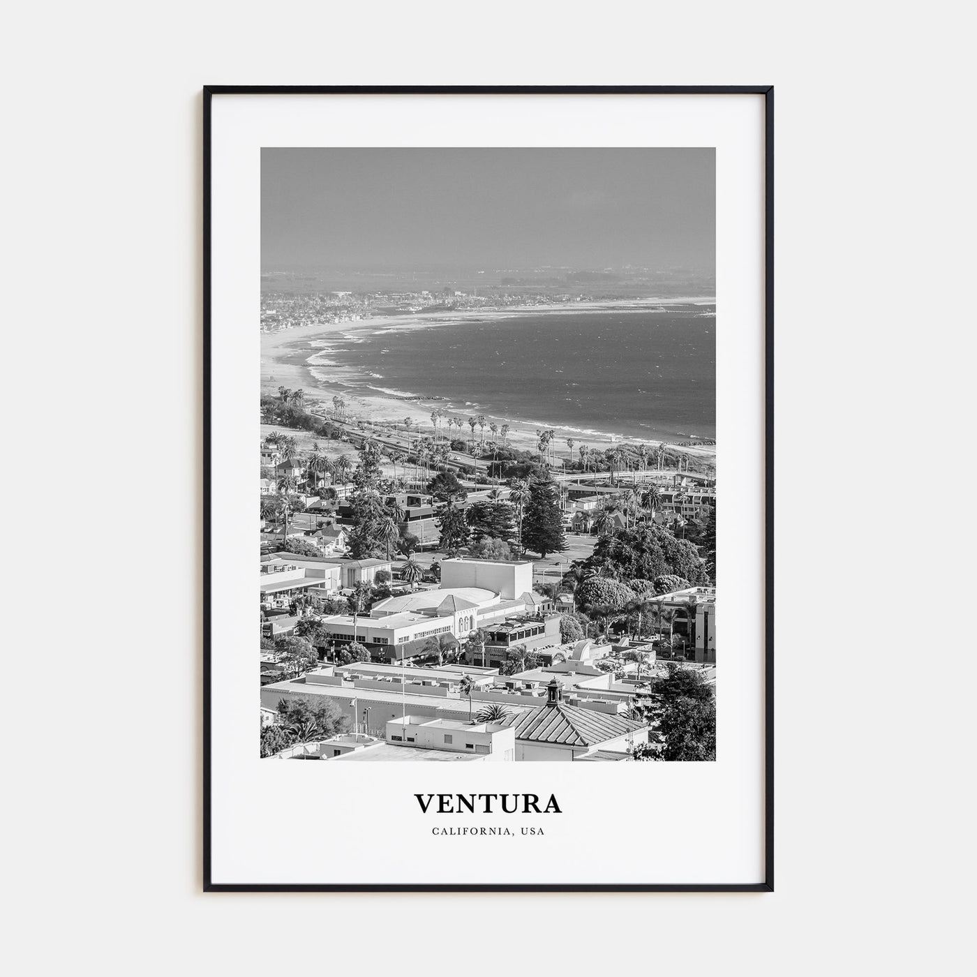 Ventura Portrait B&W No 2 Poster