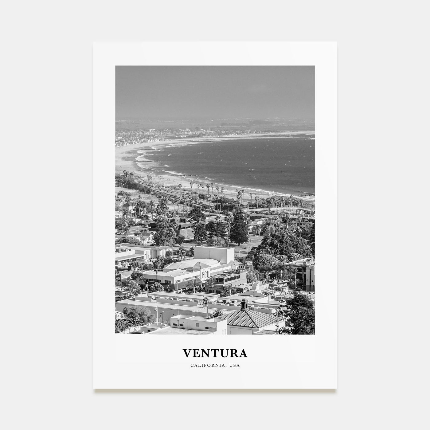 Ventura Portrait B&W No 2 Poster