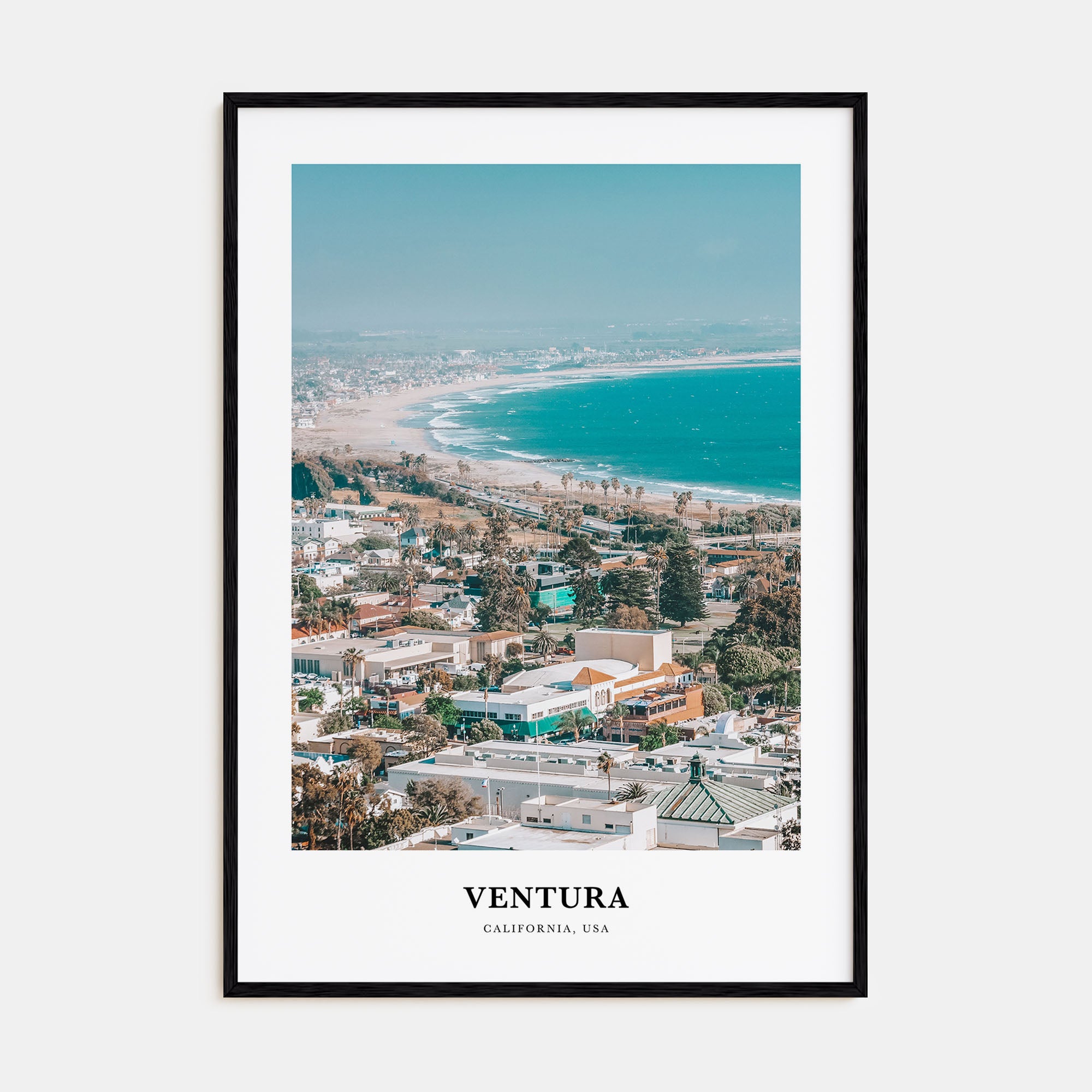 Ventura Portrait Color No 2 Poster