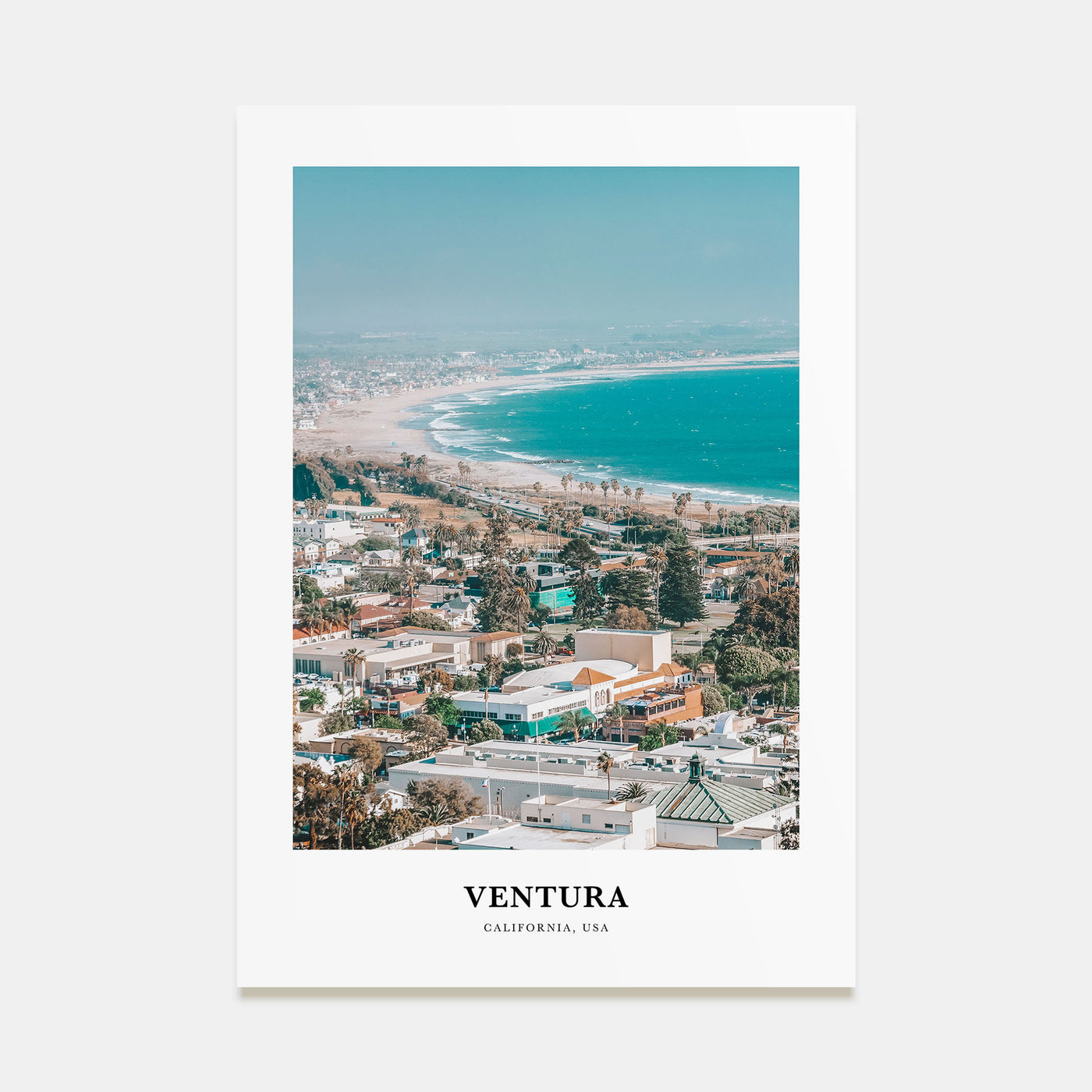 Ventura Portrait Color No 2 Poster