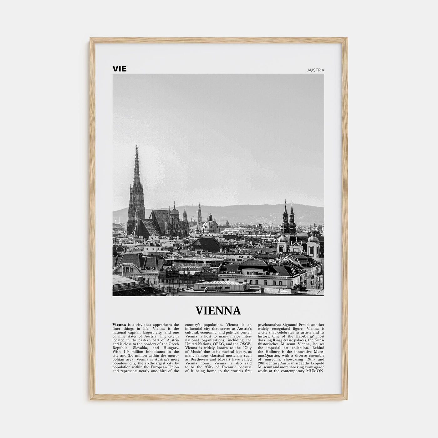 Vienna Travel B&W No 1 Poster