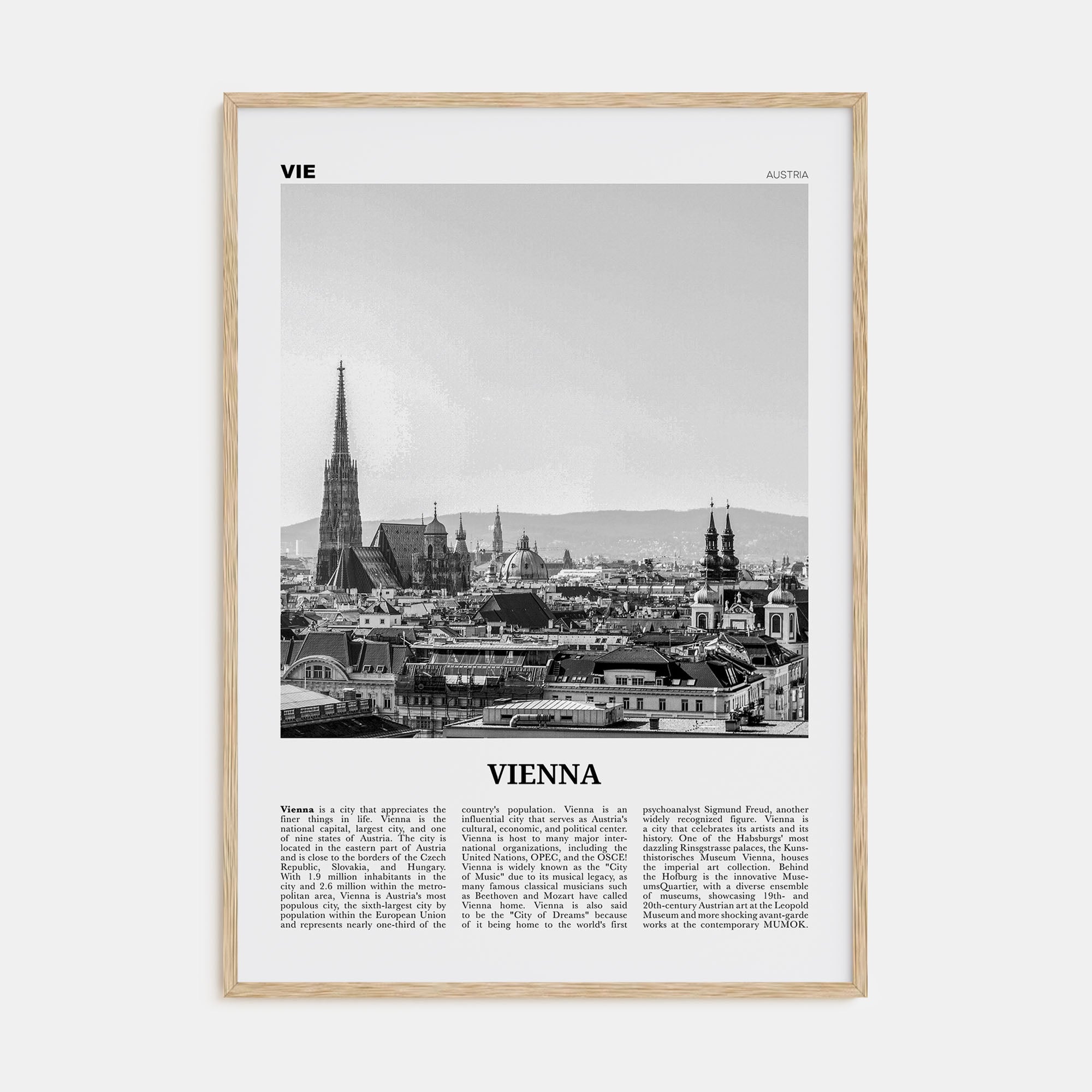 Vienna Travel B&W No 1 Poster