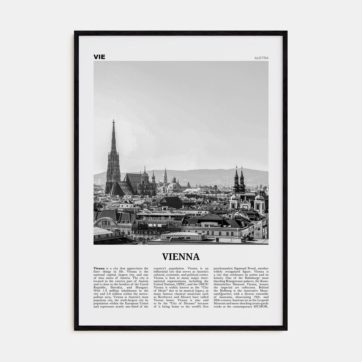 Vienna Travel B&W No 1 Poster