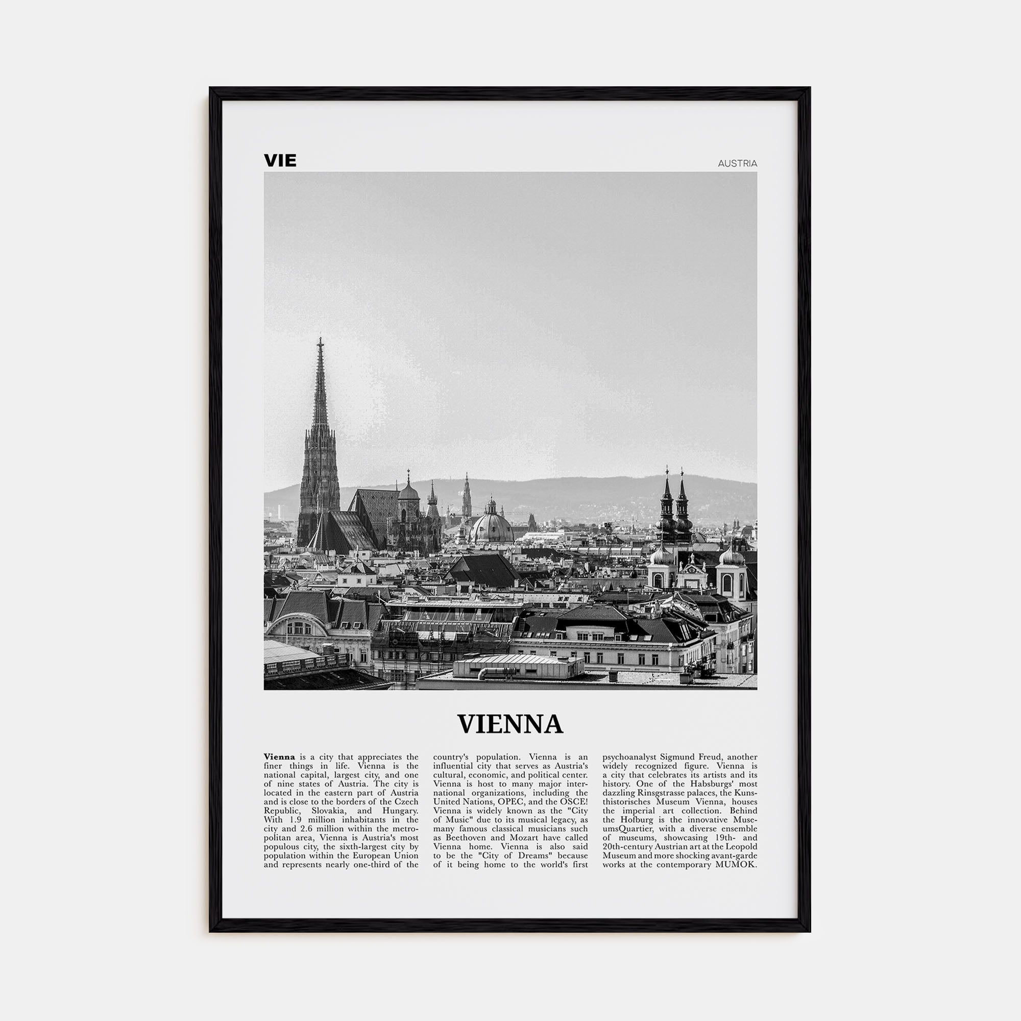 Vienna Travel B&W No 1 Poster