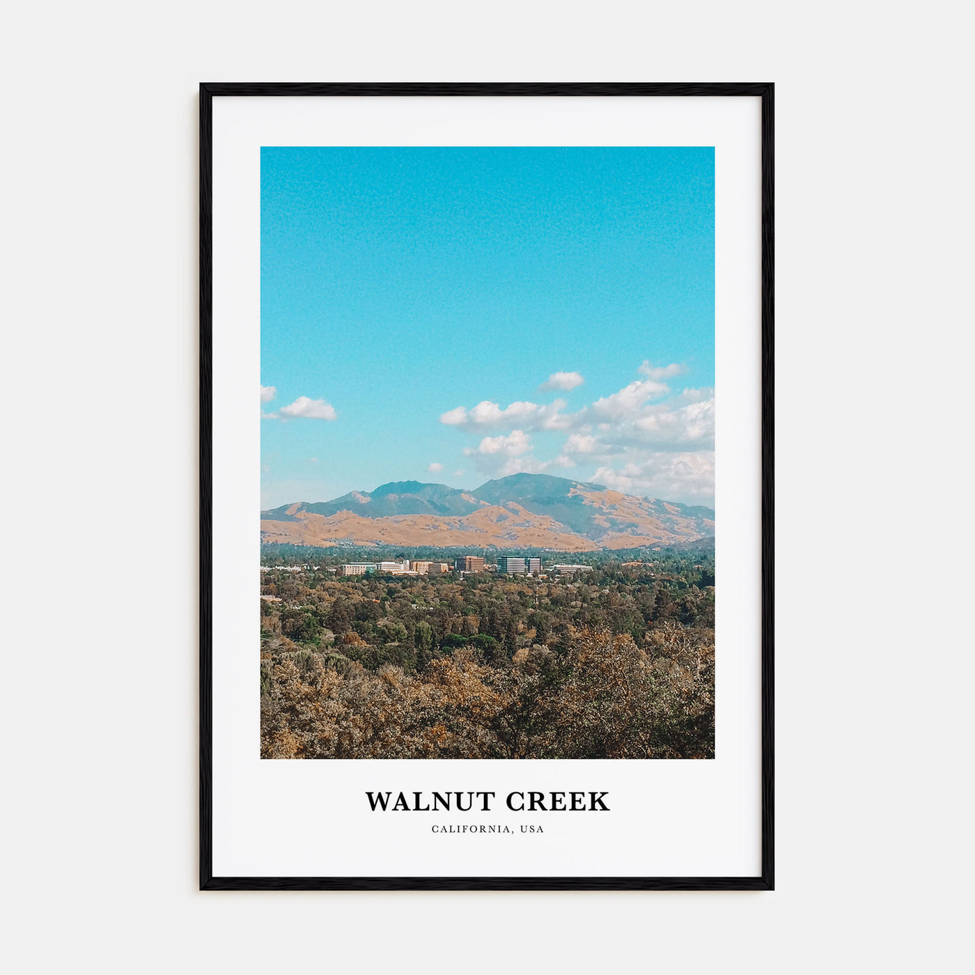 Walnut Creek Portrait Color Poster