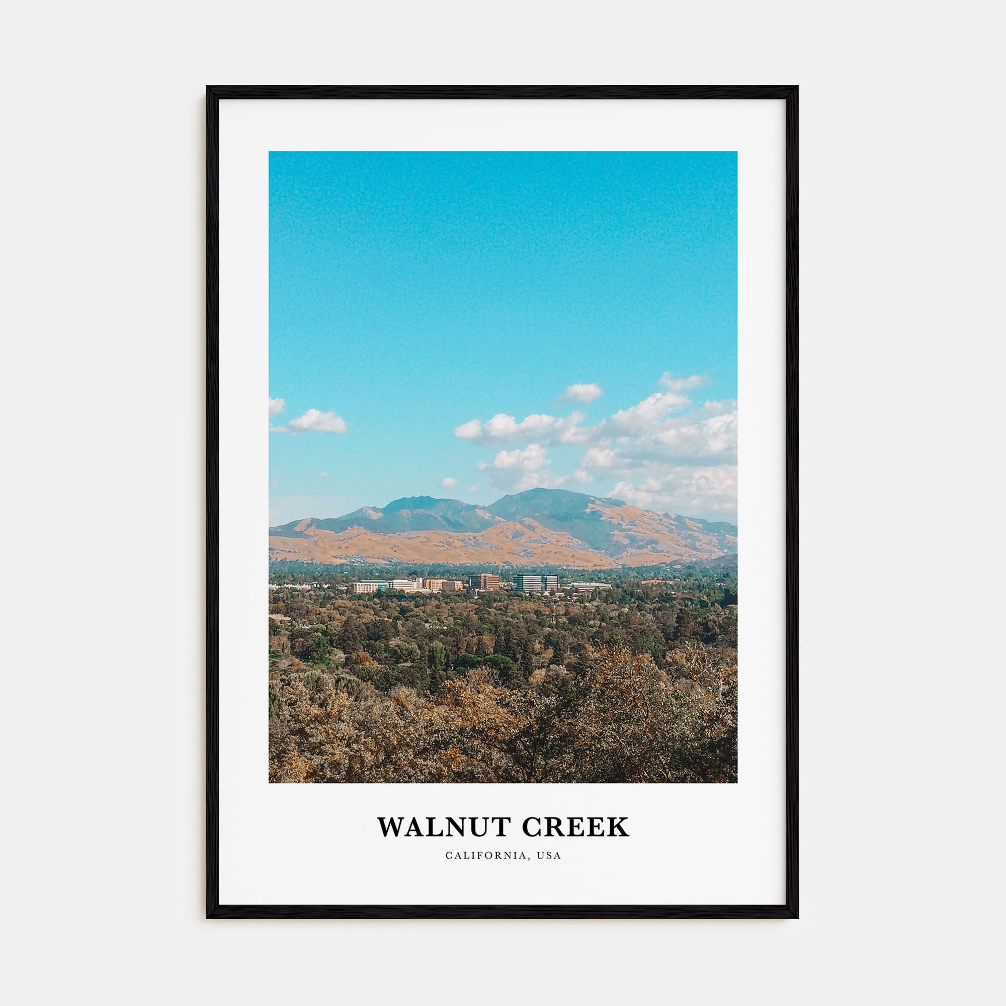 Walnut Creek Portrait Color Poster