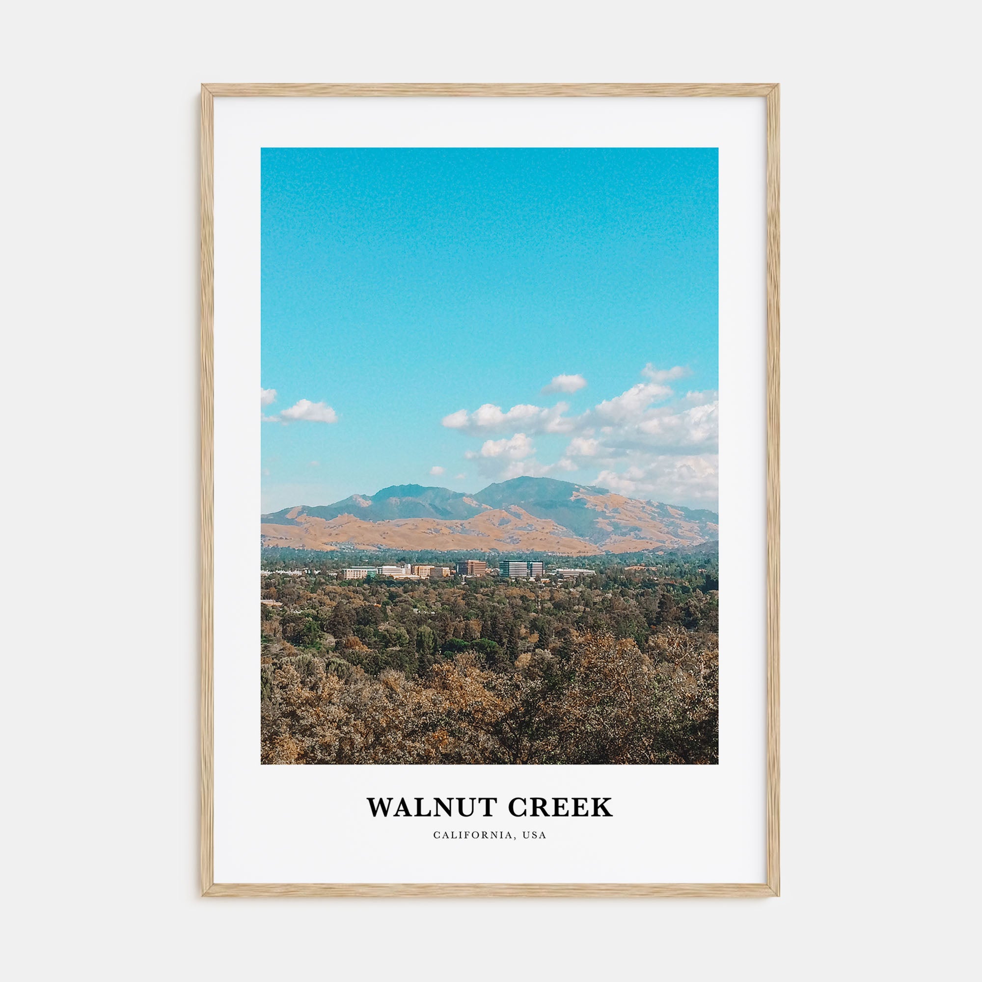 Walnut Creek Portrait Color Poster