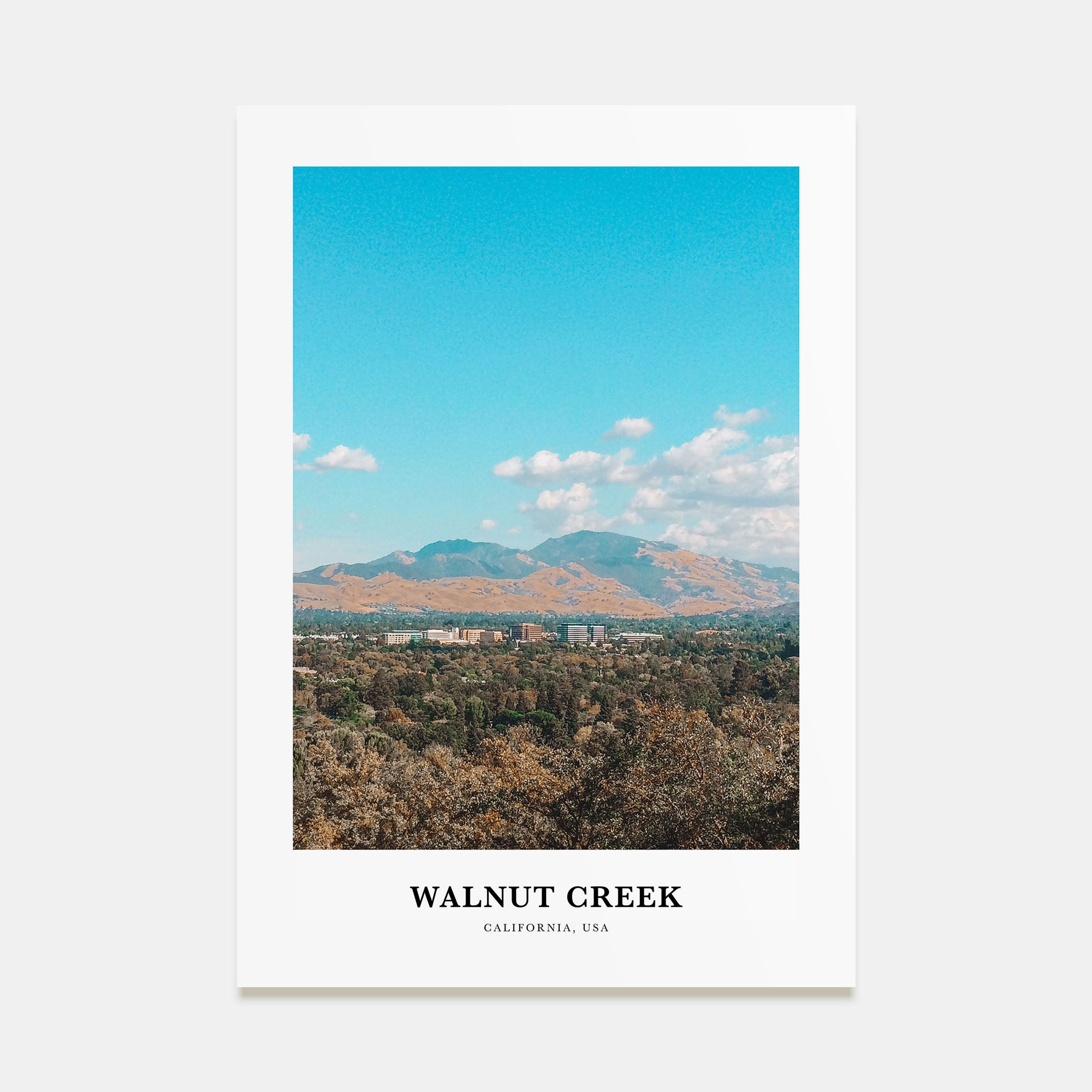 Walnut Creek Portrait Color Poster