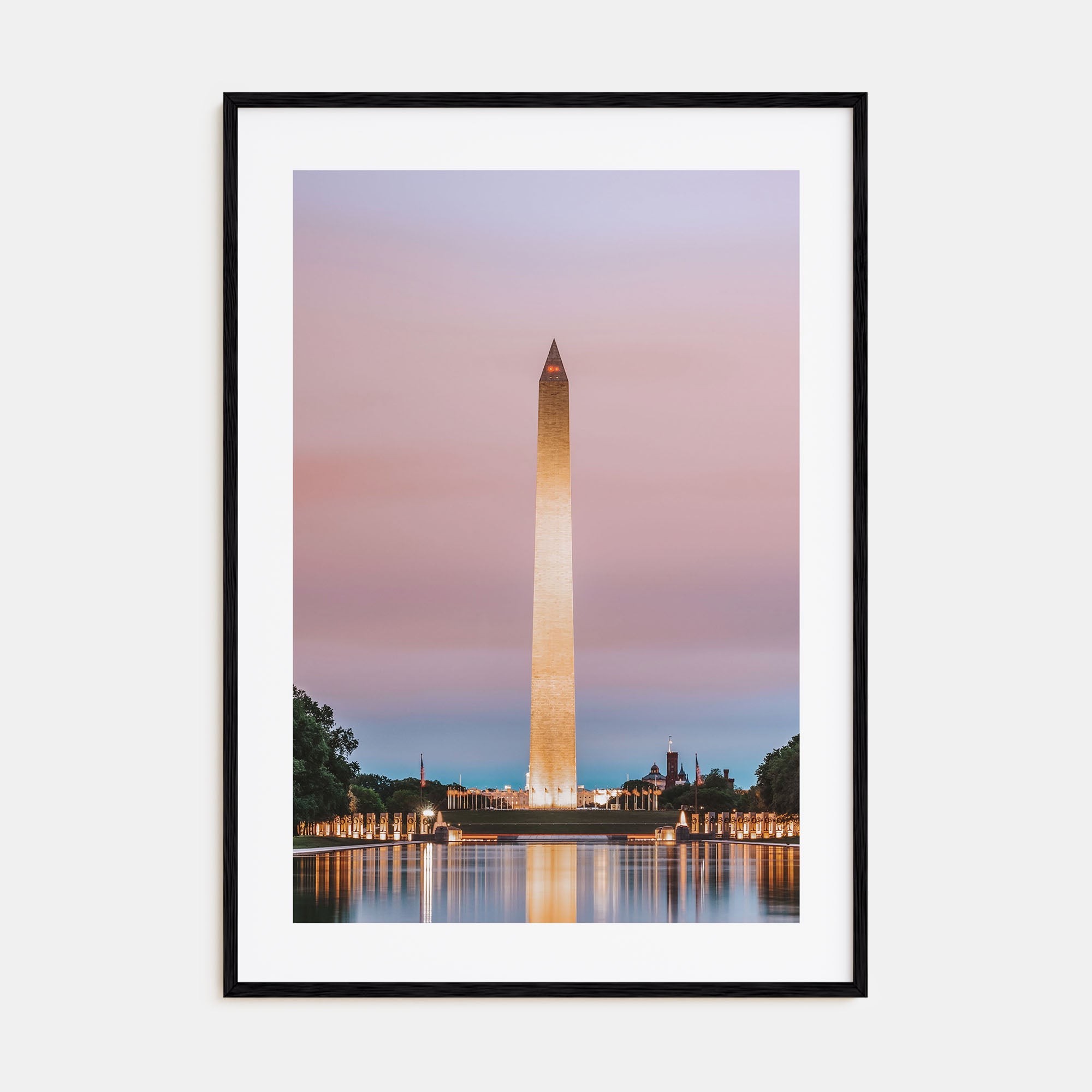Washington, D.C. Photo Color No 3 Poster
