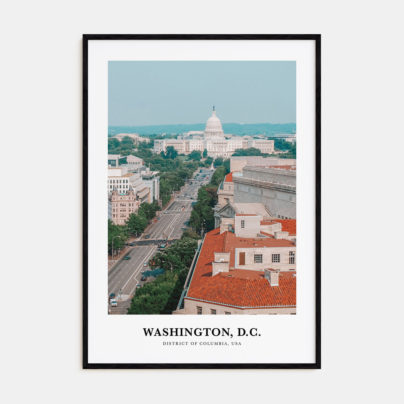Washington, D.C. Portrait Color No 2 Poster