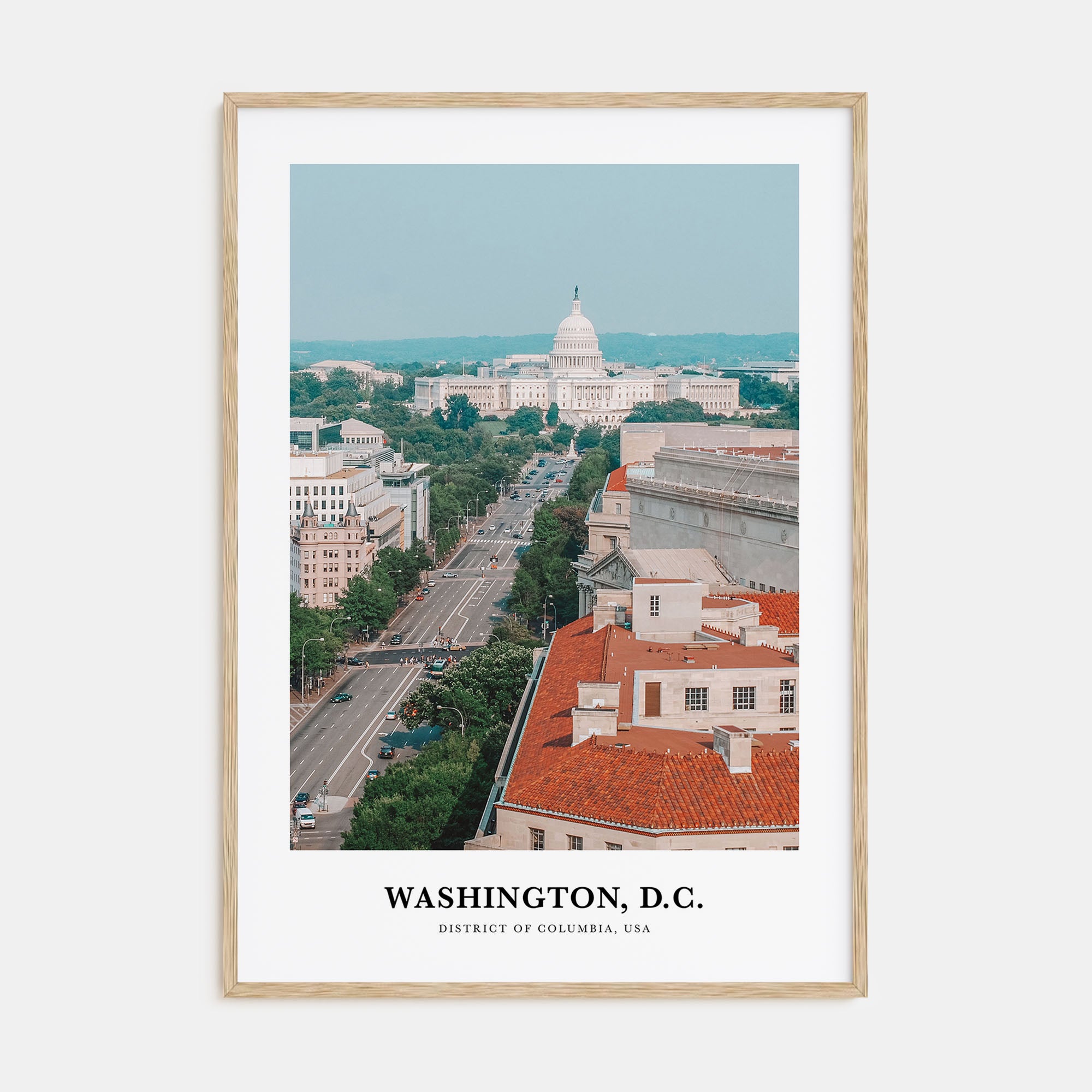 Washington, D.C. Portrait Color No 2 Poster
