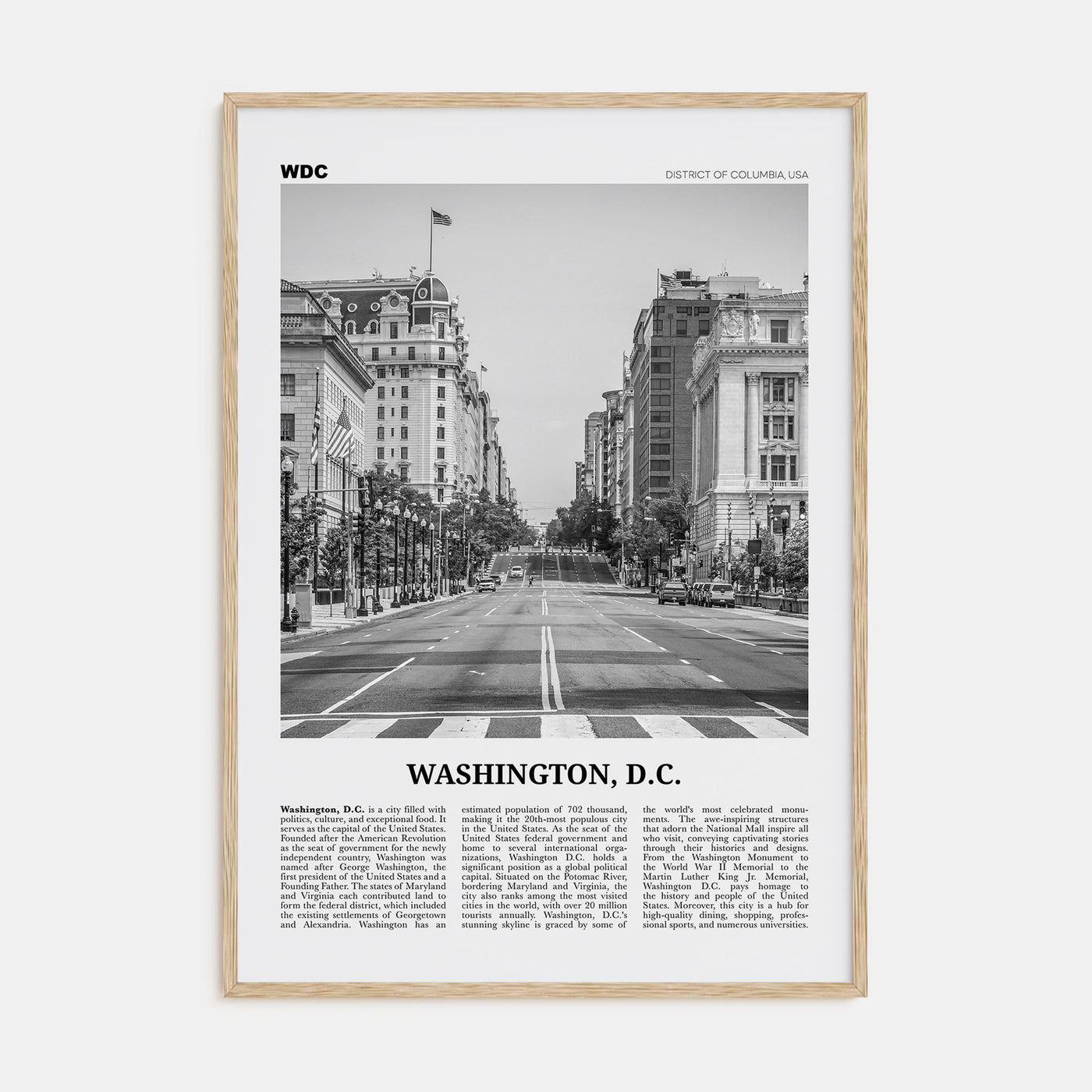 Washington, D.C. Travel B&W No 2 Poster