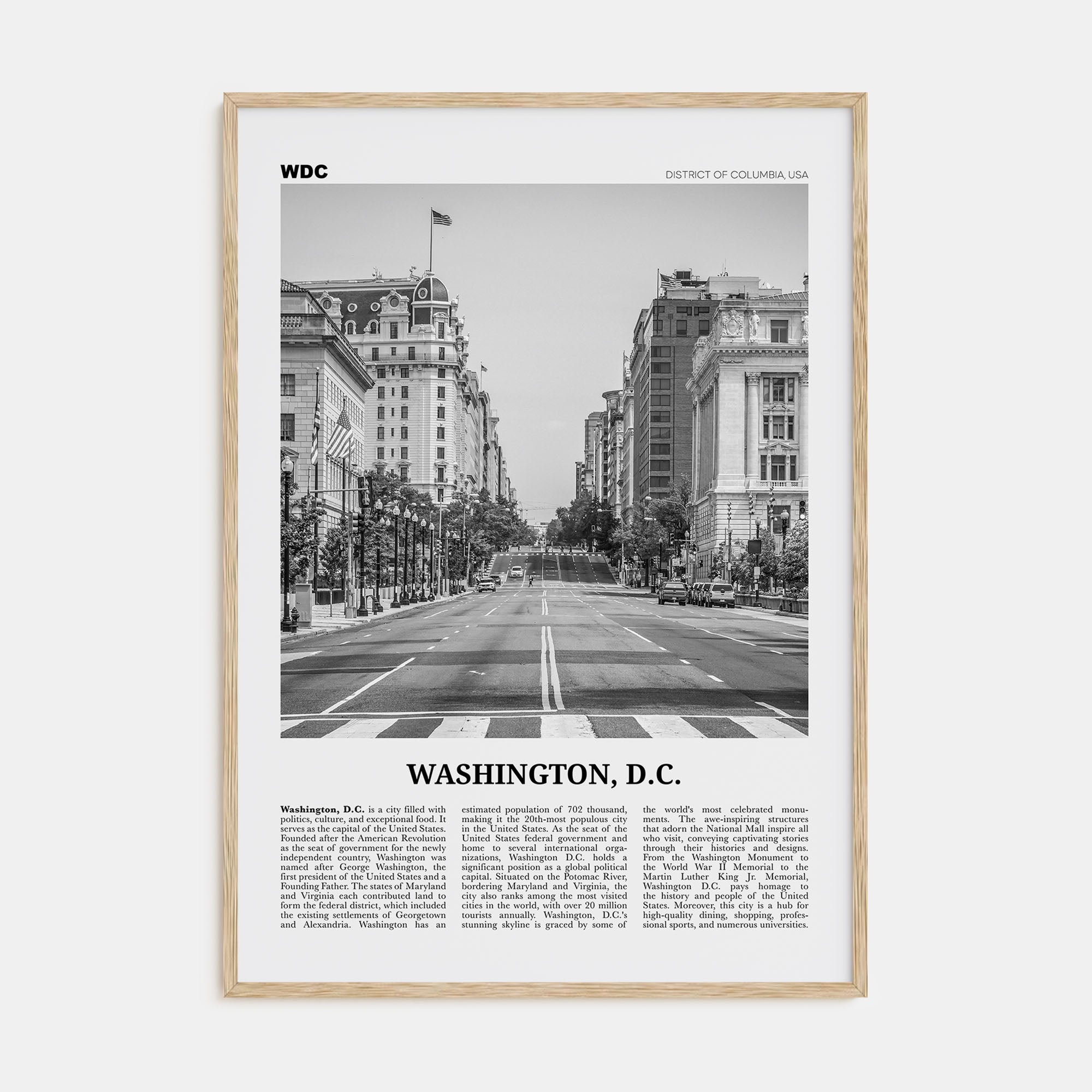 Washington, D.C. Travel B&W No 2 Poster