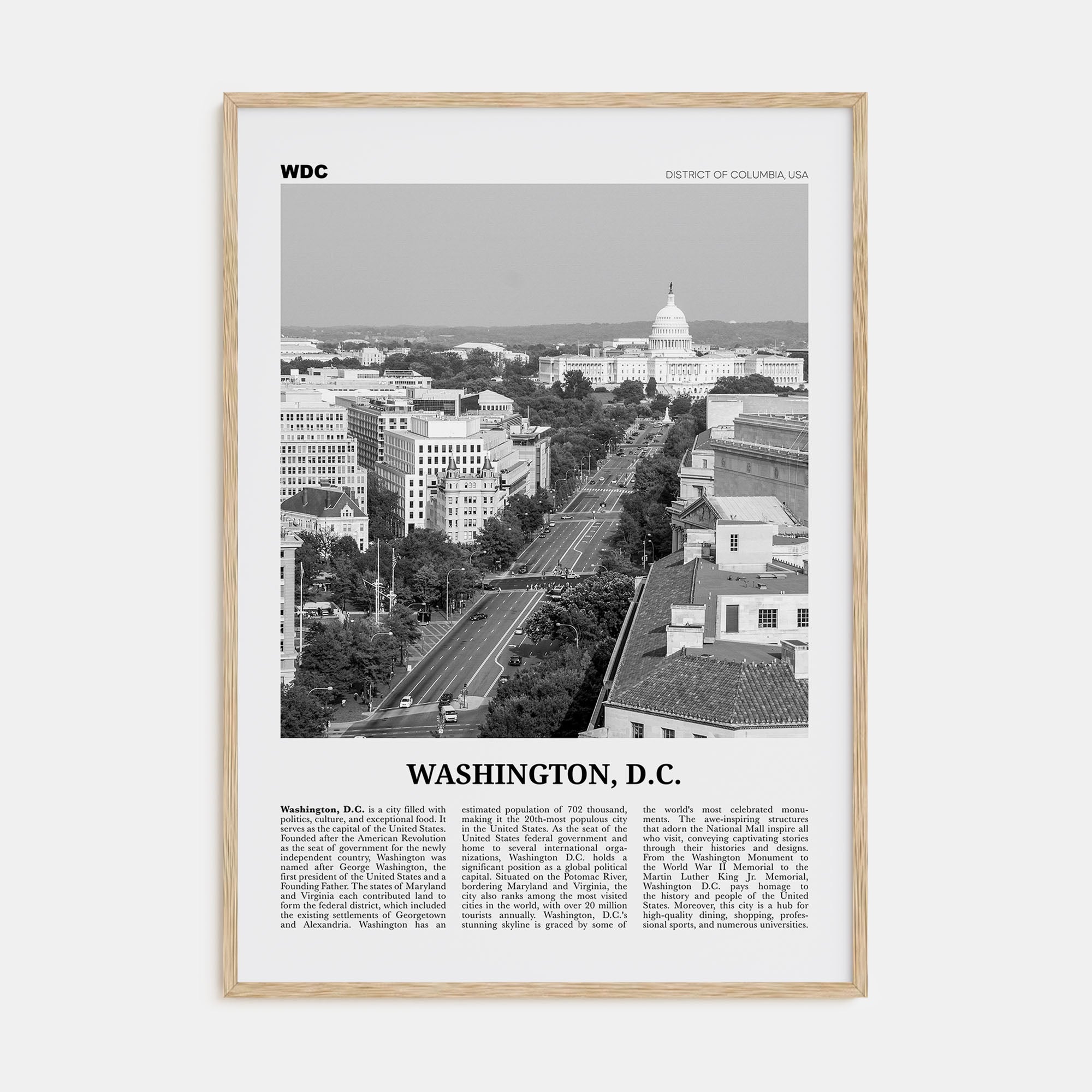 Washington, D.C. Travel B&W No 3 Poster