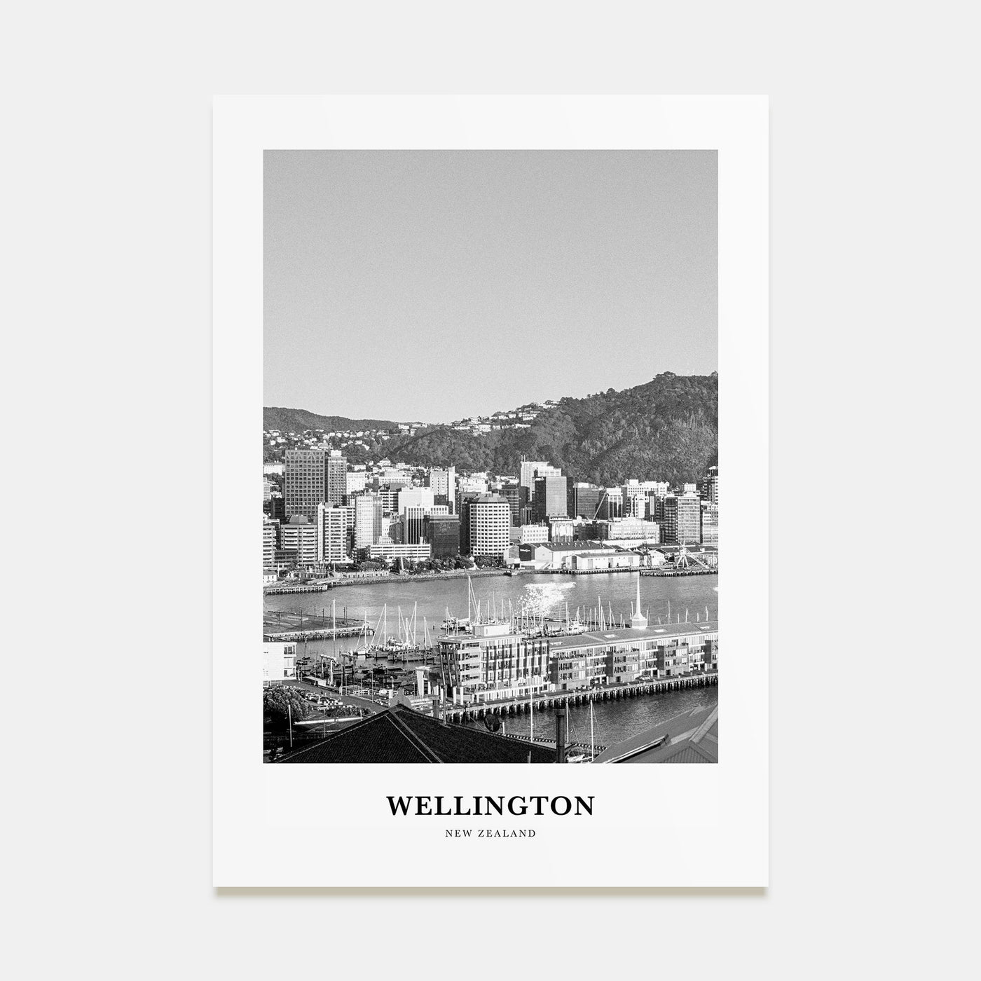 Wellington Portrait B&W Poster