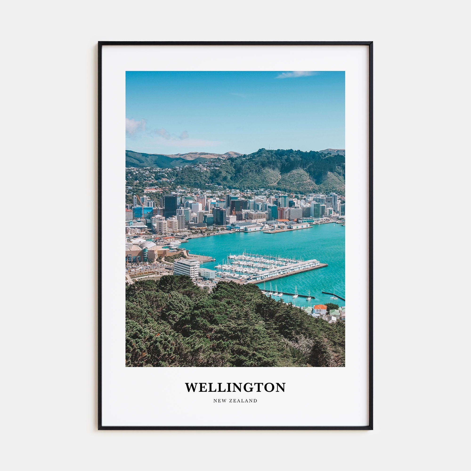 Wellington Portrait Color Poster