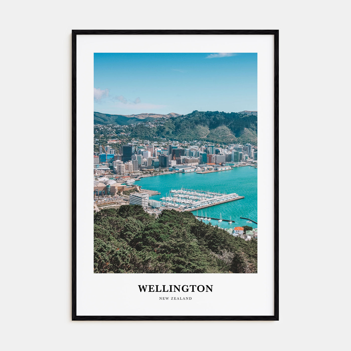 Wellington Portrait Color Poster
