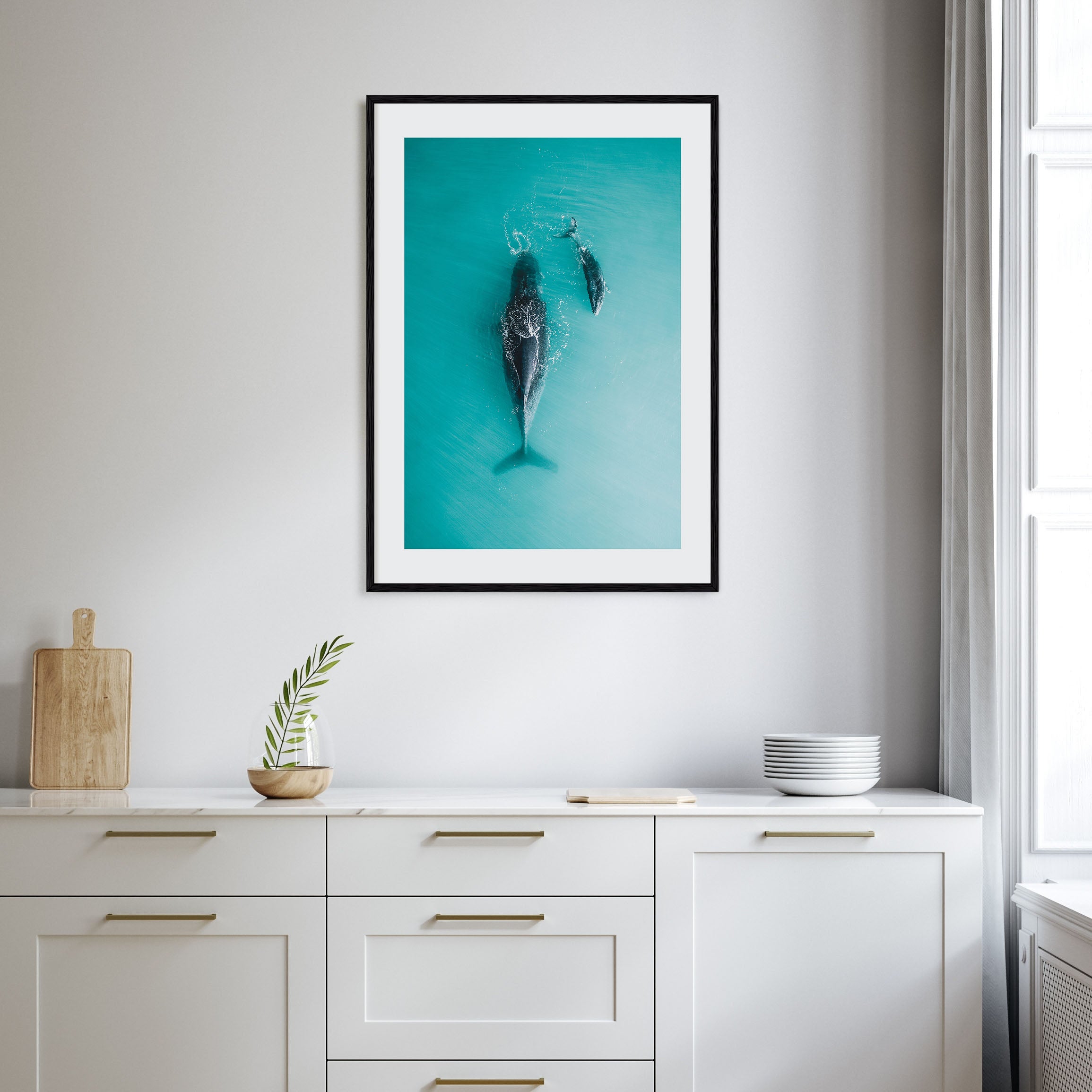 Whale Photo Color No 3 Poster