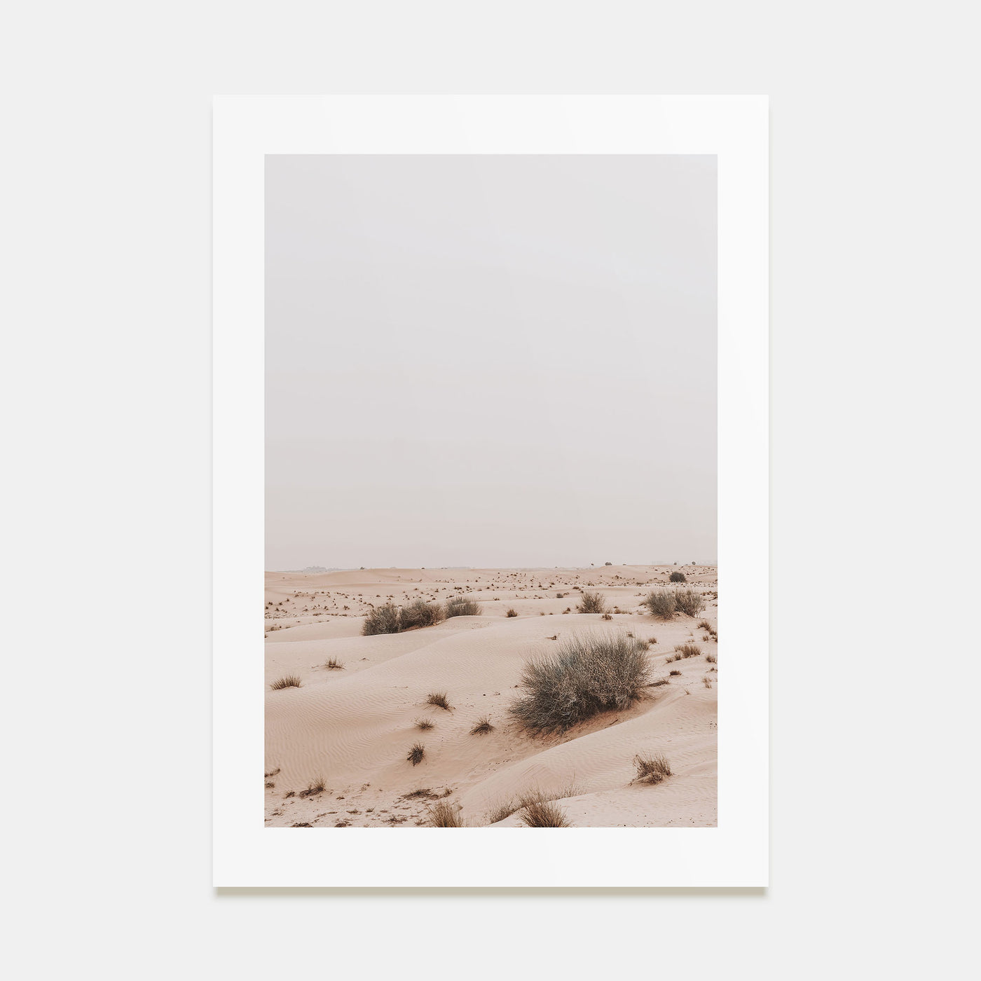 Wild Desert Photo Color Poster