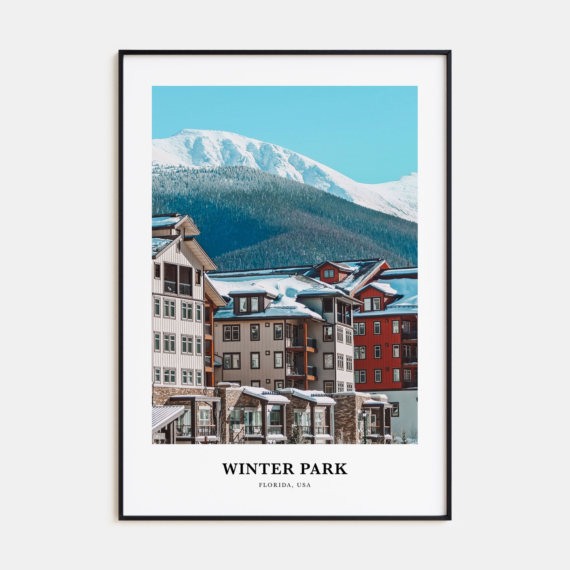 Winter Park Portrait Color Poster