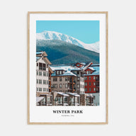 Winter Park Portrait Color Poster