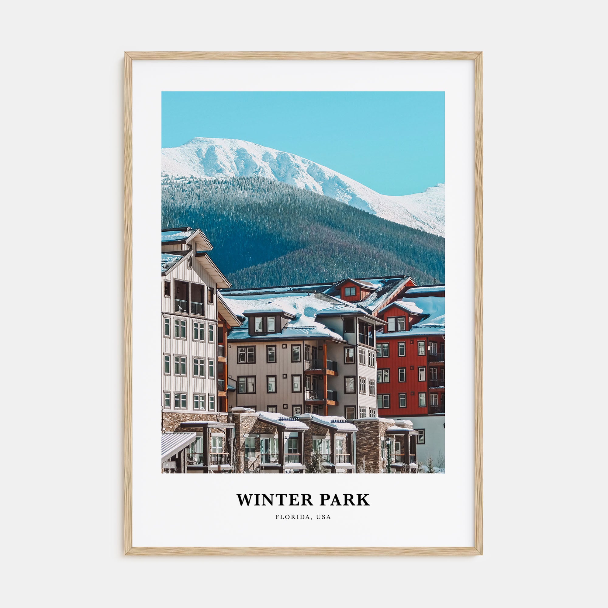 Winter Park Portrait Color Poster