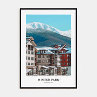 Winter Park Portrait Color Poster