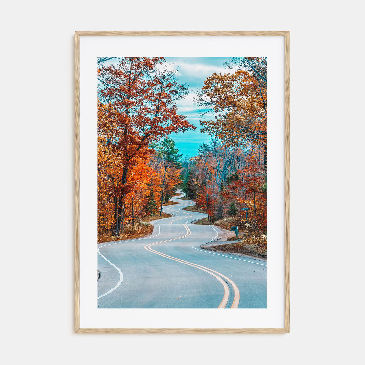 Wisconsin Photo Color No 2 Poster