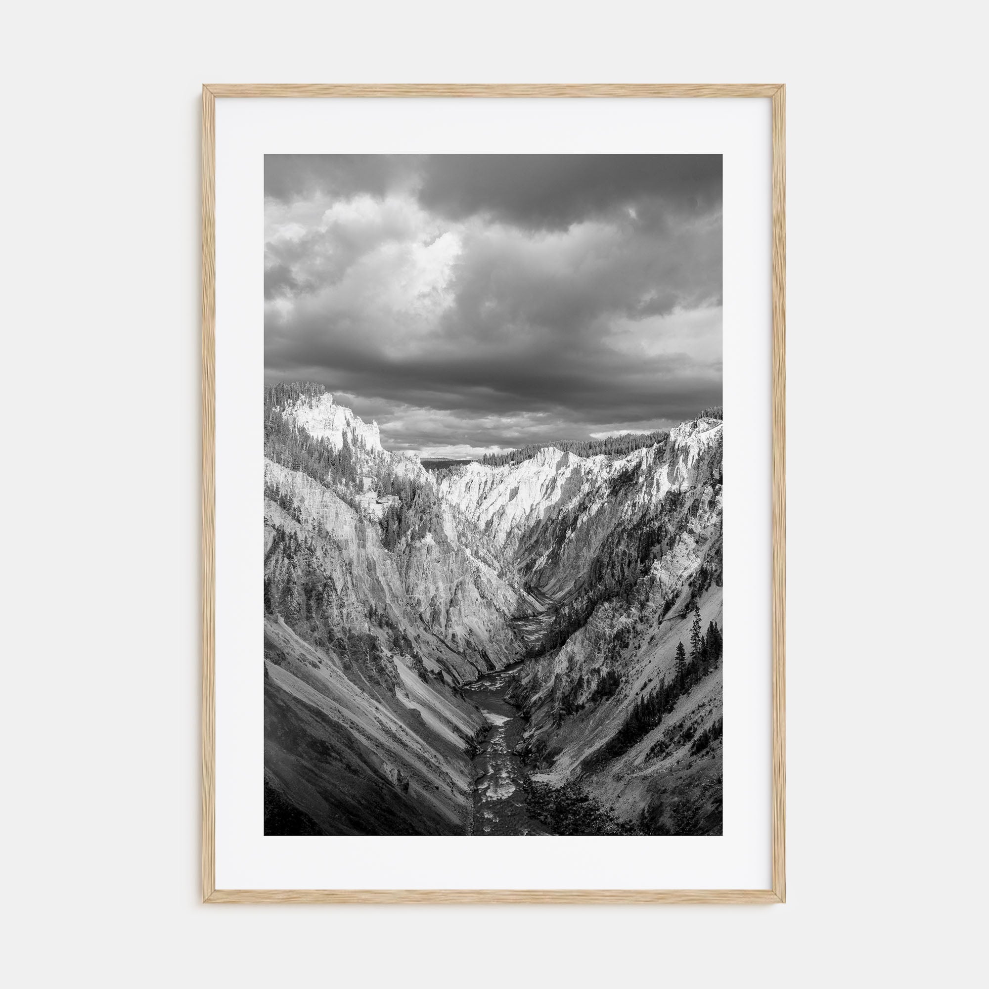 Yellowstone National Park Photo B&W Poster