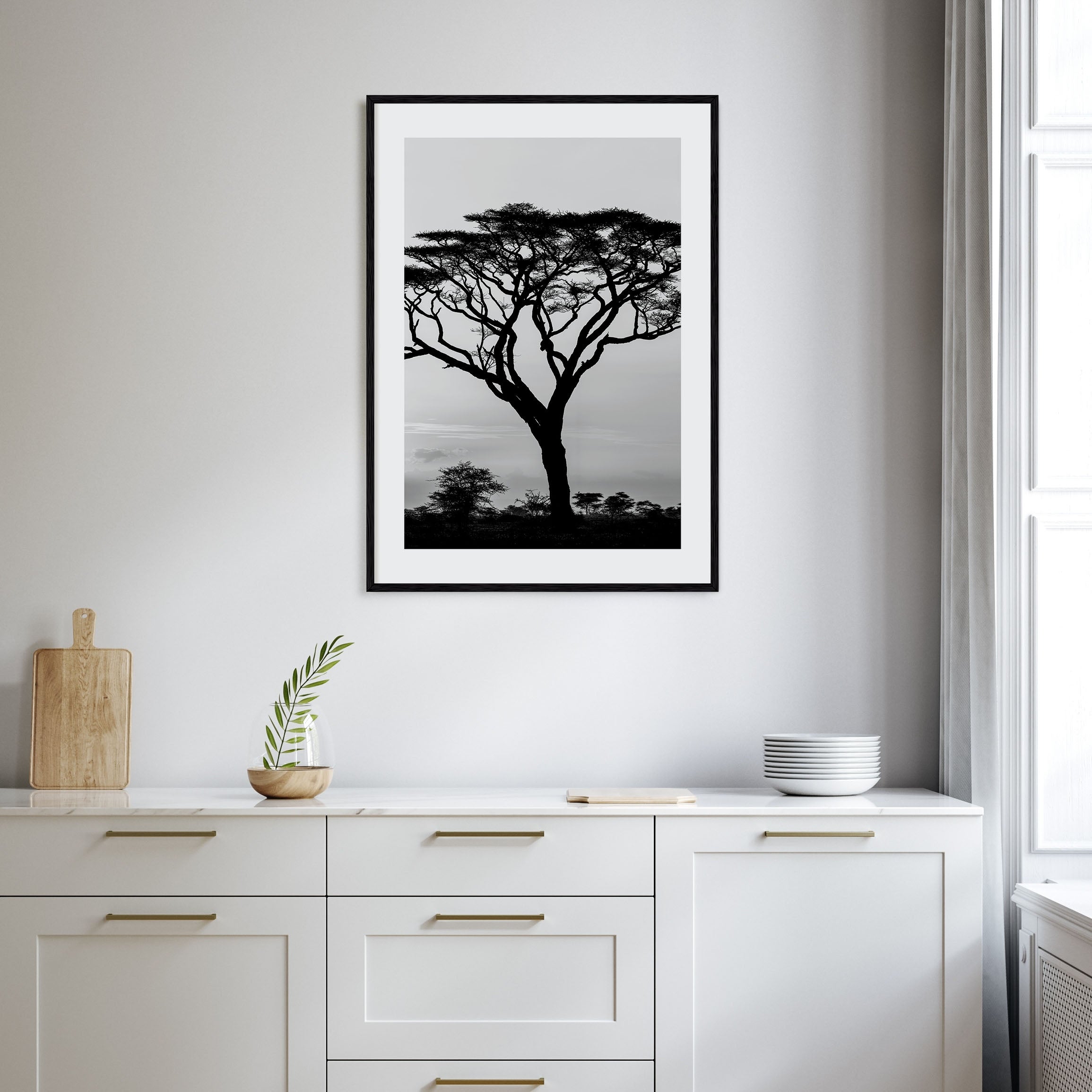 Acacia Tree Photo B&W Poster