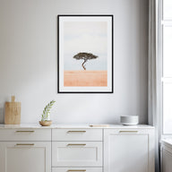Acacia Tree Photo Color No 1 Poster